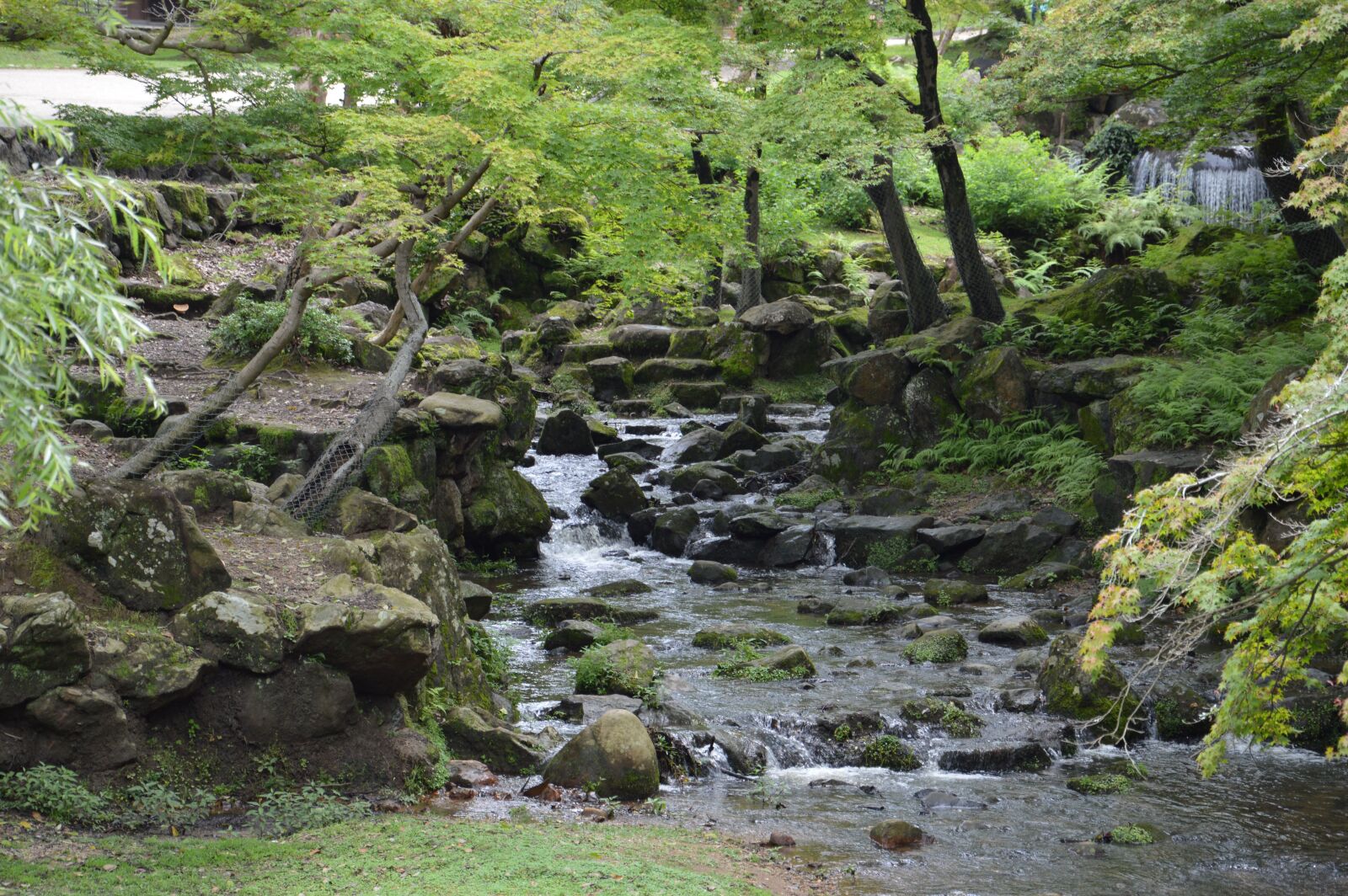 Nikon D3200 sample photo. Japan, nature, trip photography