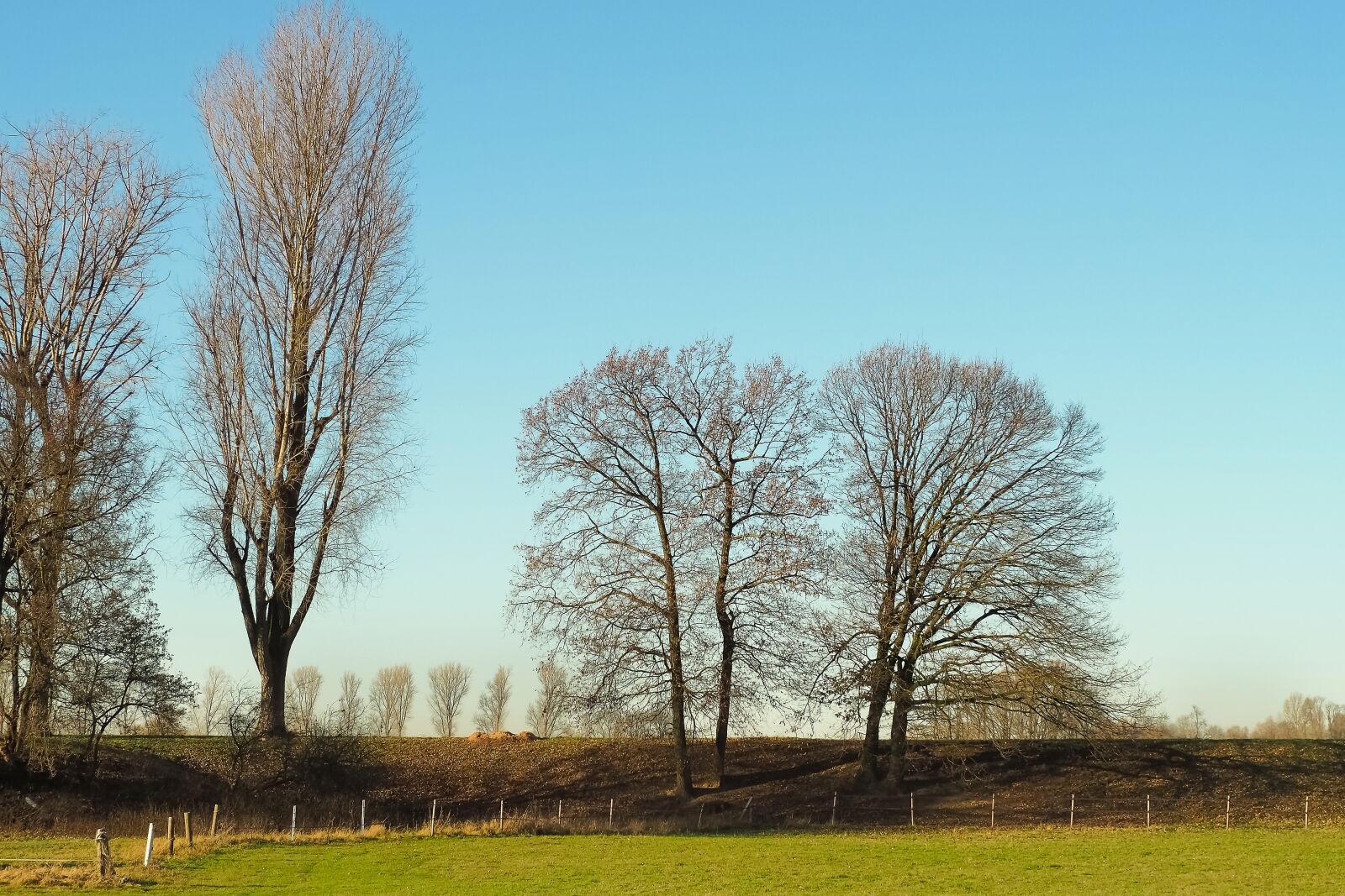 Olympus OM-D E-M10 sample photo. Landscape, nature, mood photography