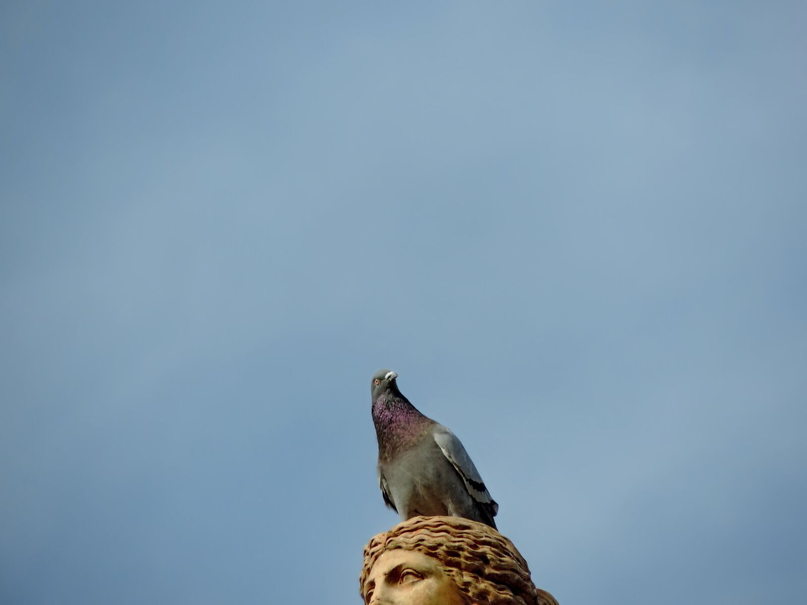 Nikon Coolpix P520 sample photo. Blue sky, bust, sculpture photography