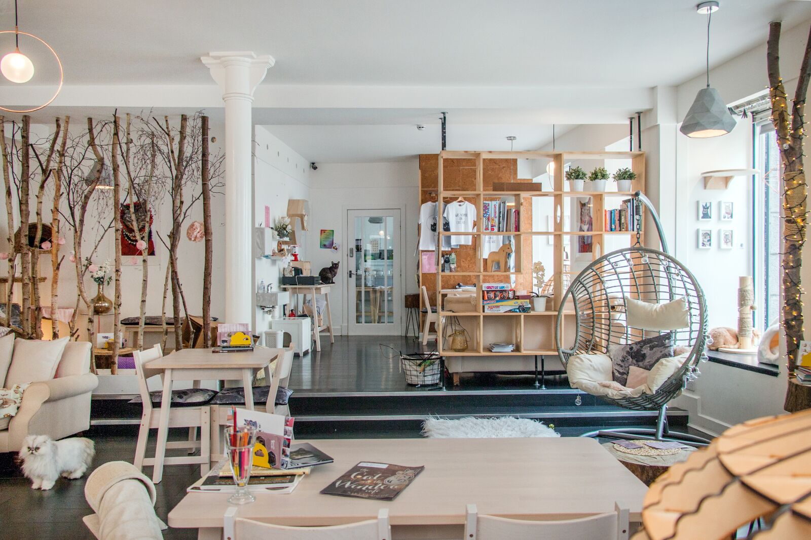 Canon EOS 70D sample photo. Cat's cafe, cat, interior photography