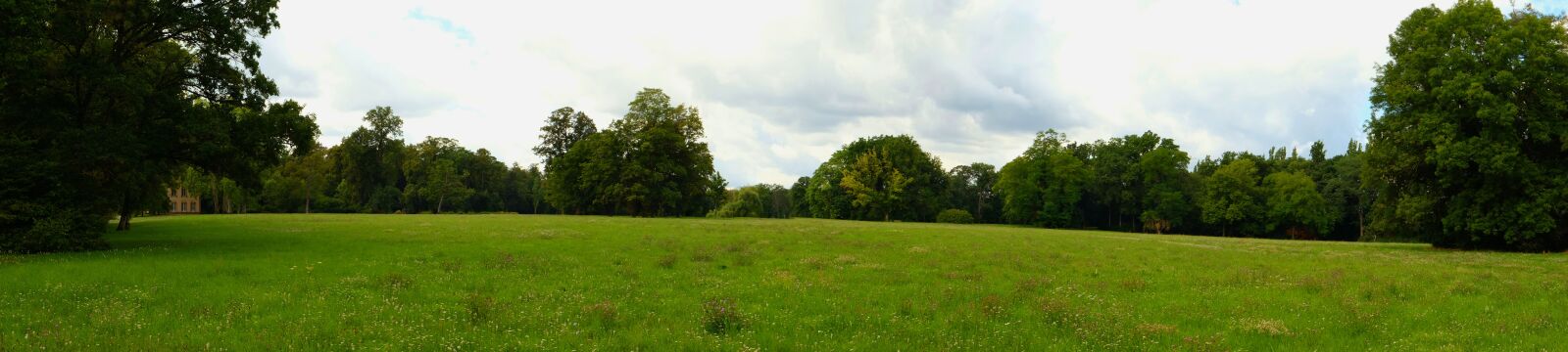 Fujifilm X-T20 sample photo. Park, meadow, summer photography