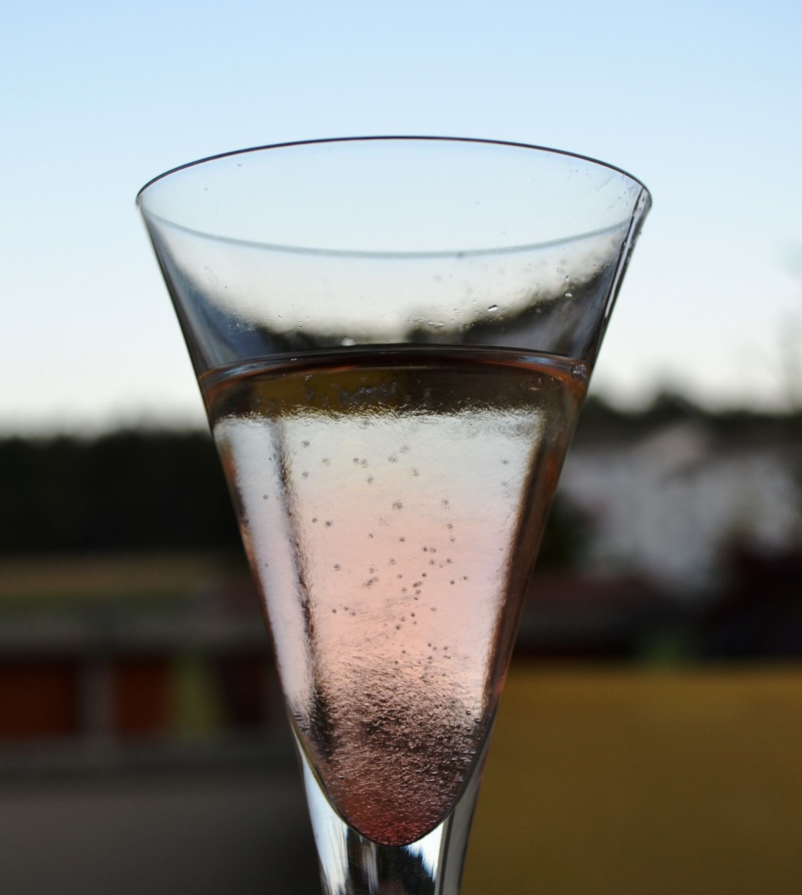 Nikon D3100 sample photo
