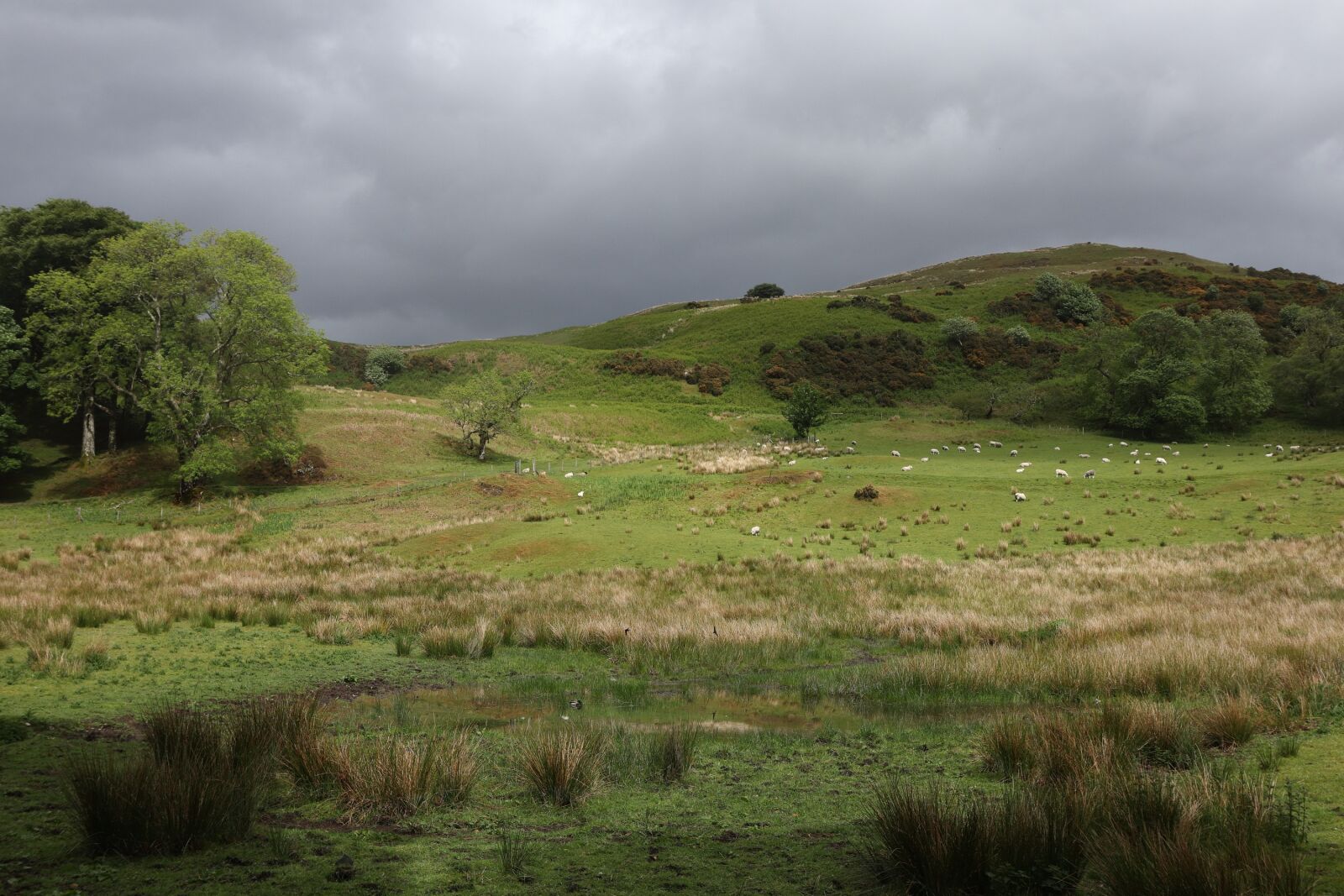 Canon EOS M50 (EOS Kiss M) sample photo. Scotland, nature, landscape photography