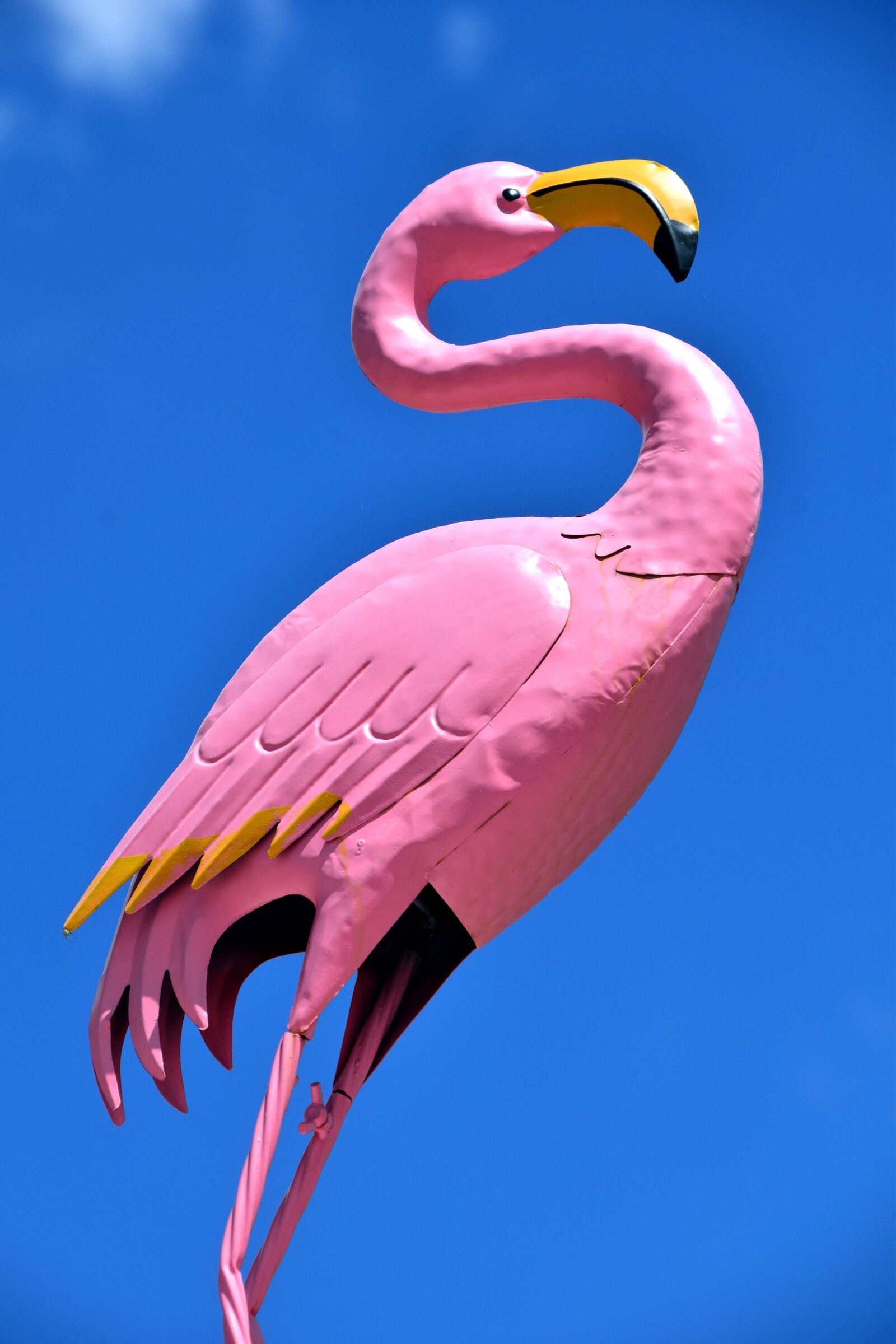 Nikon D3300 sample photo. Flamingo, figure, art photography