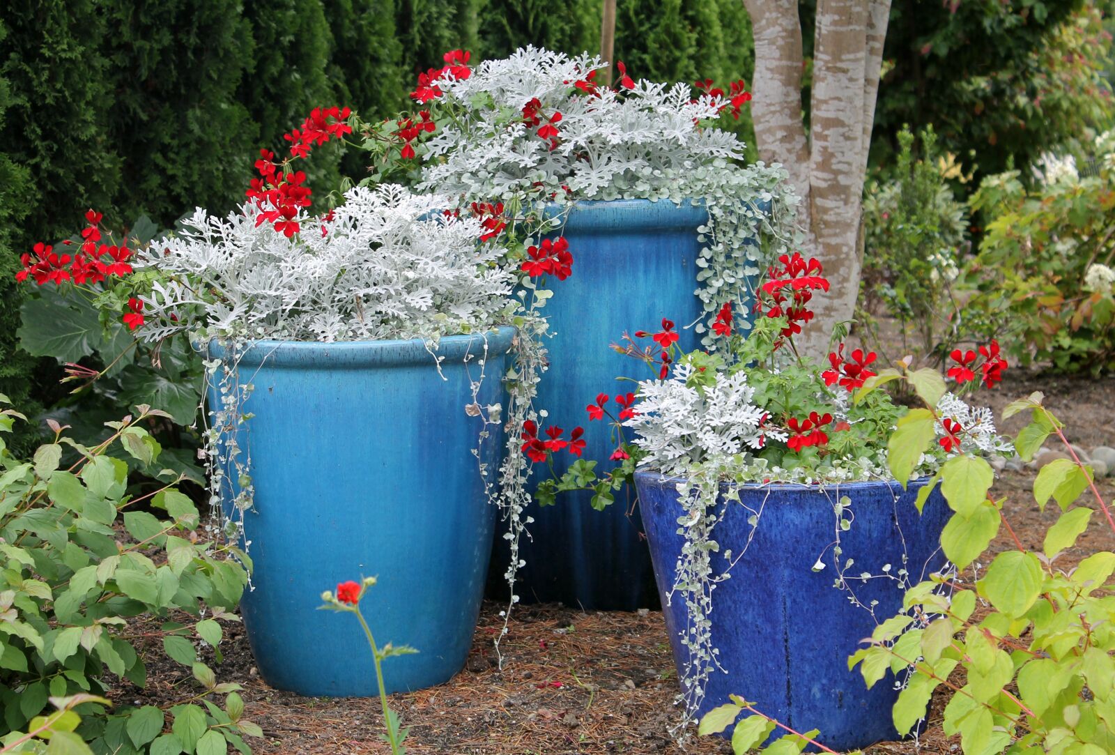 Canon EOS 1100D (EOS Rebel T3 / EOS Kiss X50) sample photo. Flower pots, garden, spring photography