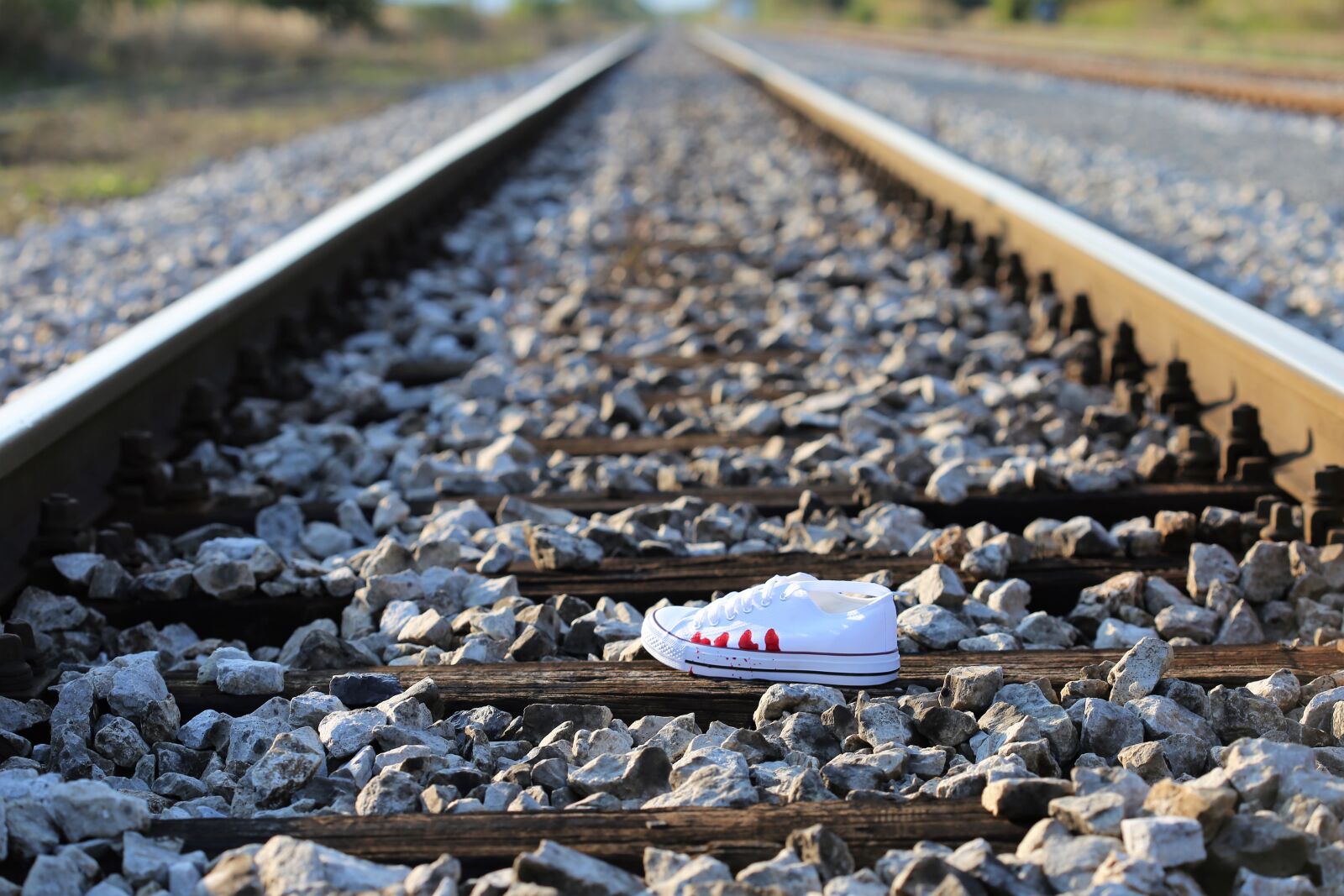 Canon EOS 6D + Canon EF 100mm F2.8 Macro USM sample photo. Stop teenager suicide, bloody photography