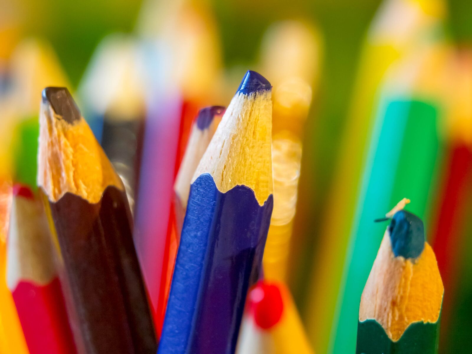 Olympus E-3 sample photo. Color, desktop, color pencils photography