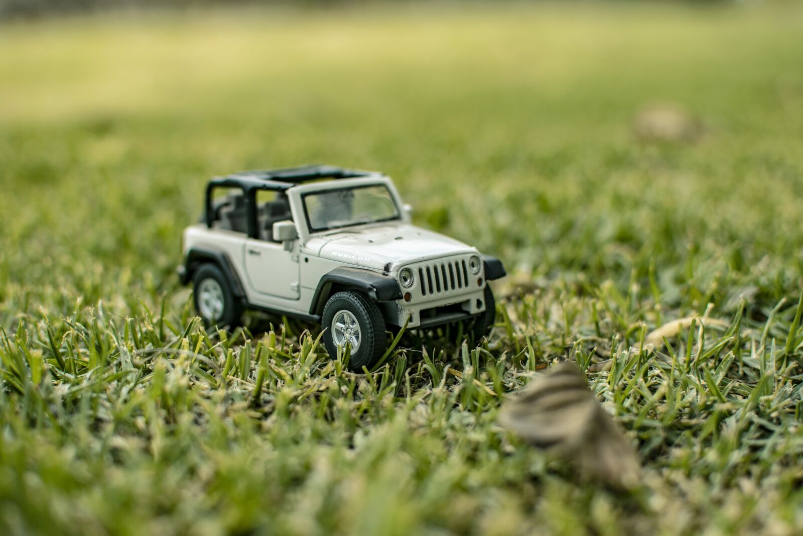 Nikon D3300 sample photo. Car, toy, fun photography