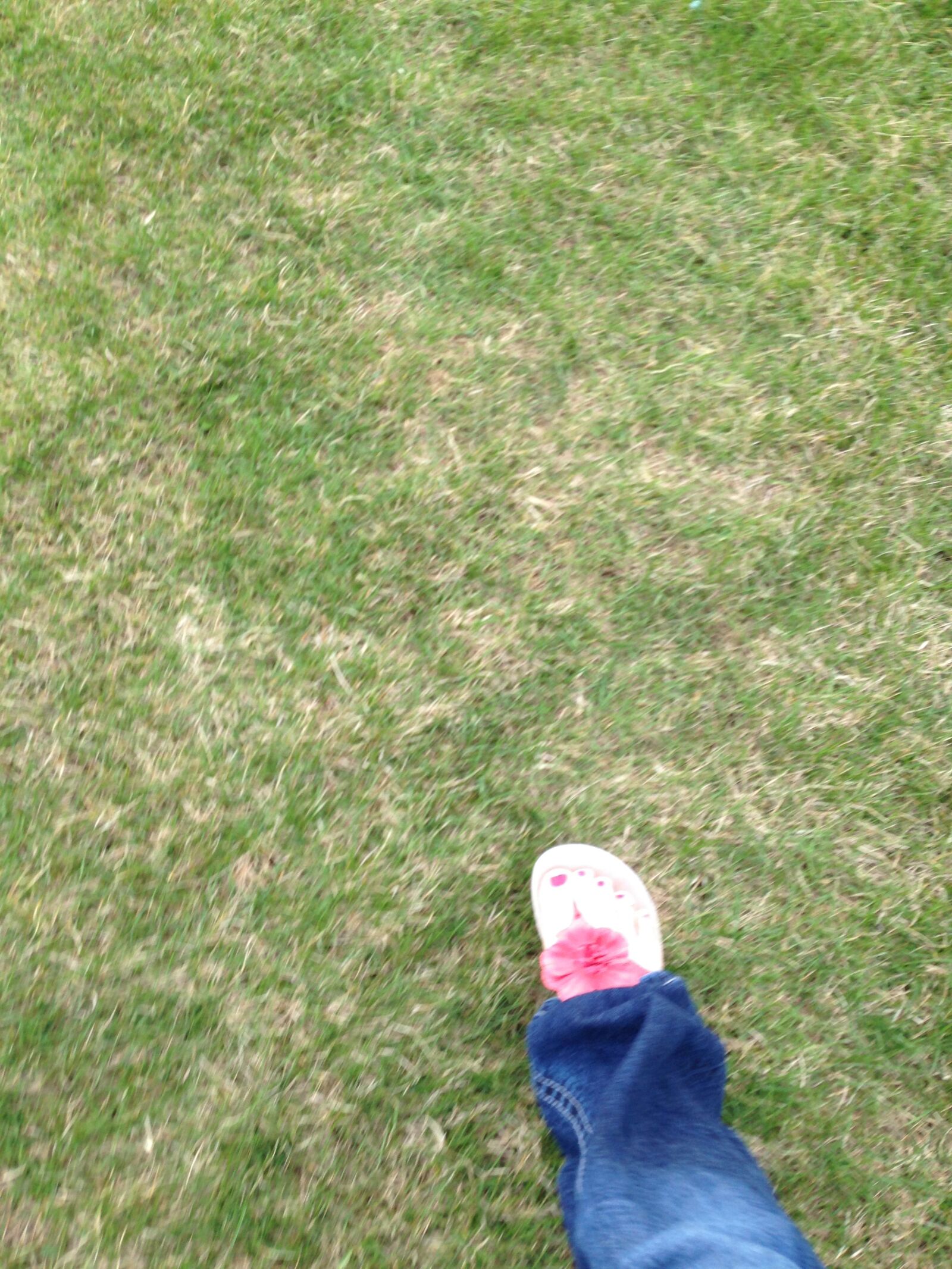 iPhone 5c back camera 4.12mm f/2.4 sample photo. Grass, walking, shoe photography
