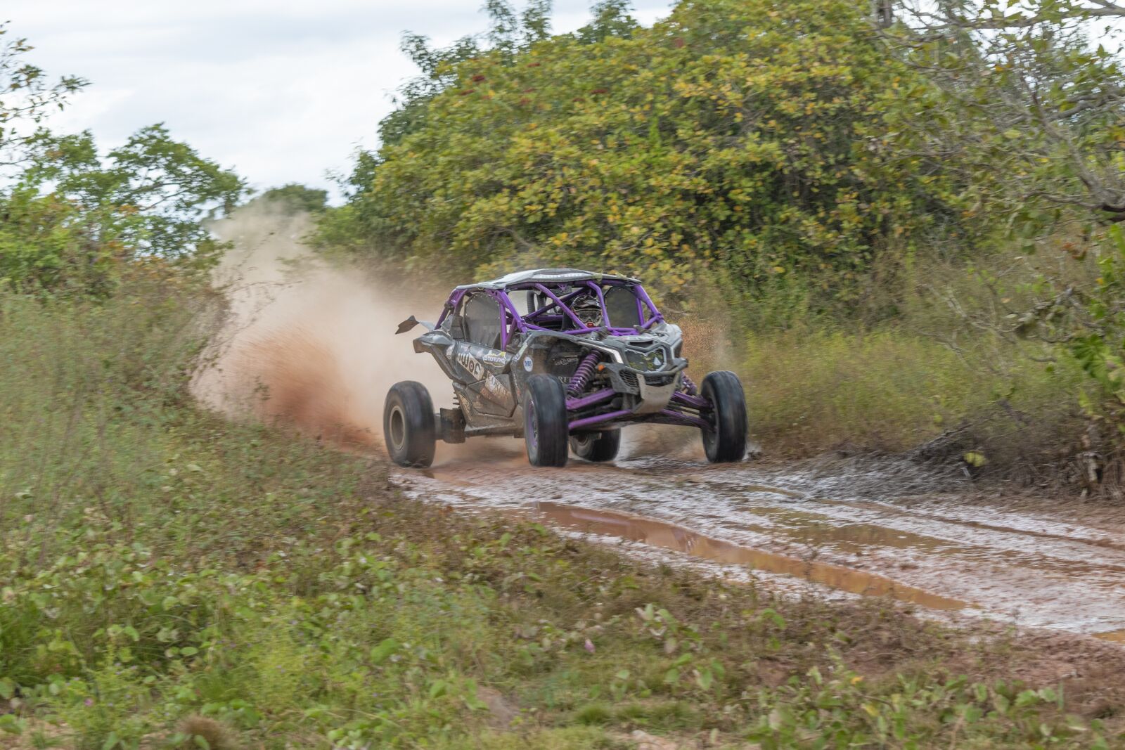 Nikon D5600 sample photo. Offroad, nature, the rally photography