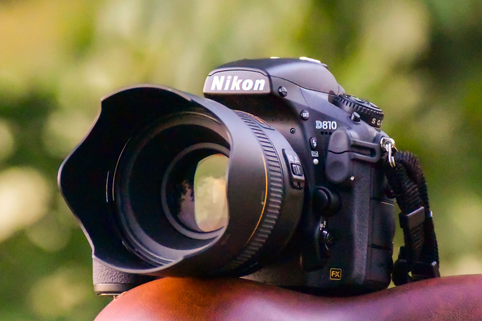 Nikon 1 Nikkor VR 70-300mm F4.5-5.6 sample photo. Nikon d810 photography