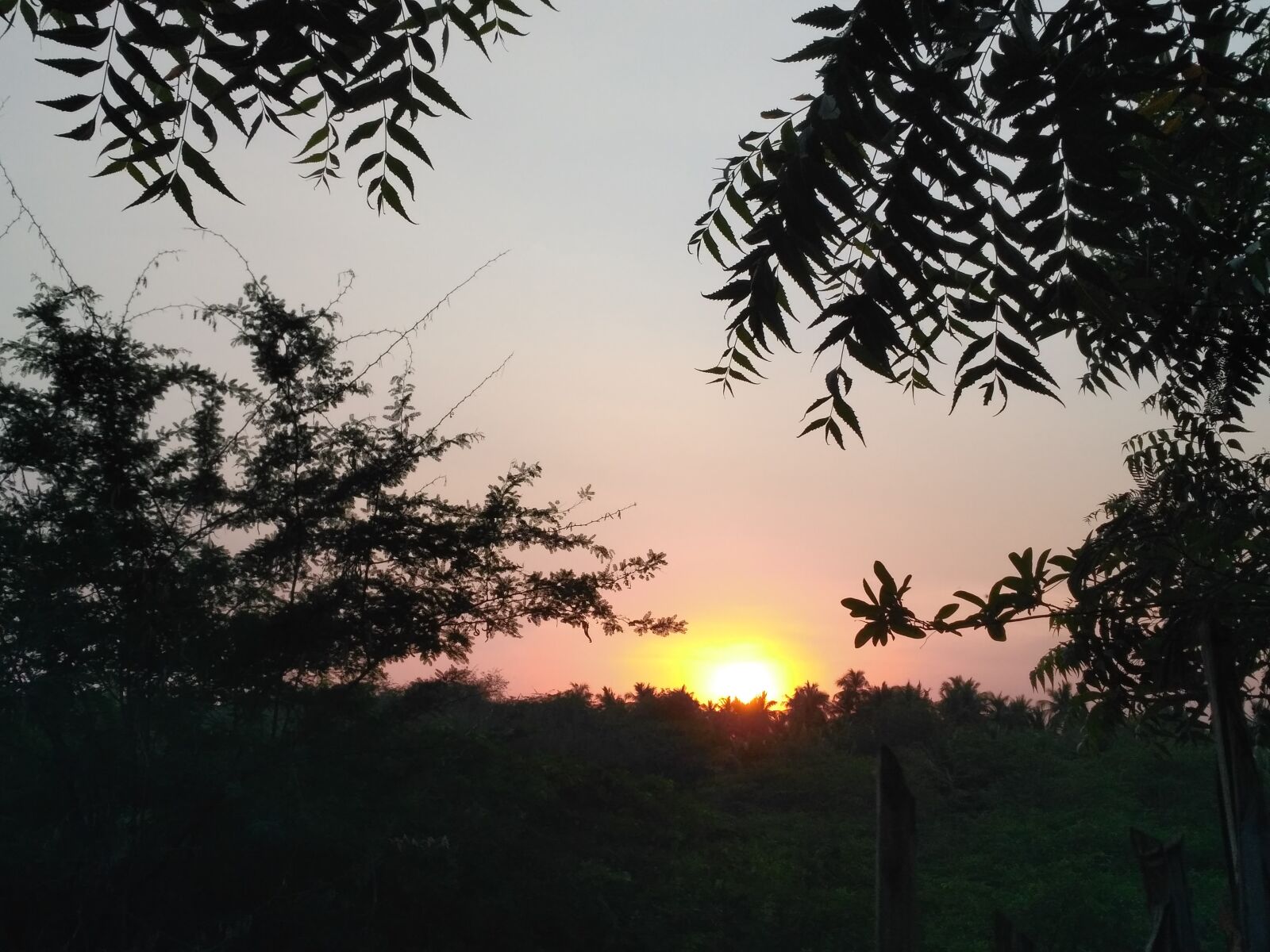 Xiaomi Redmi 3S sample photo