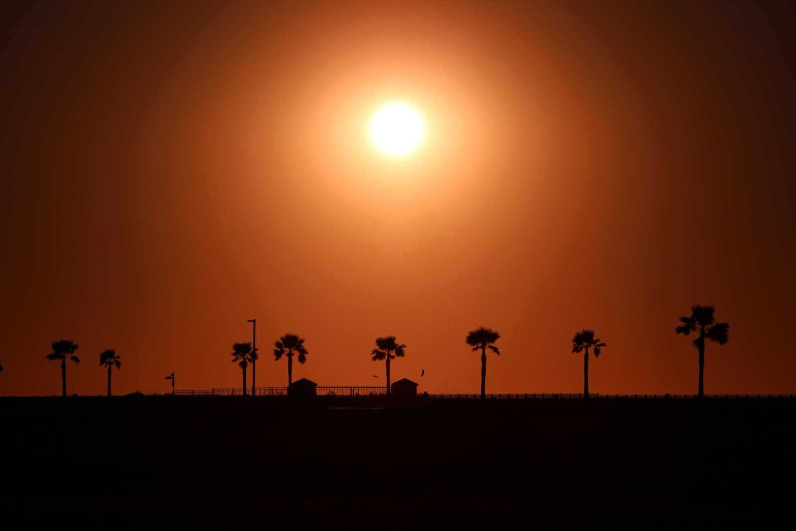 Canon EF 75-300mm f/4-5.6 sample photo. Serene, coastal, morning photography