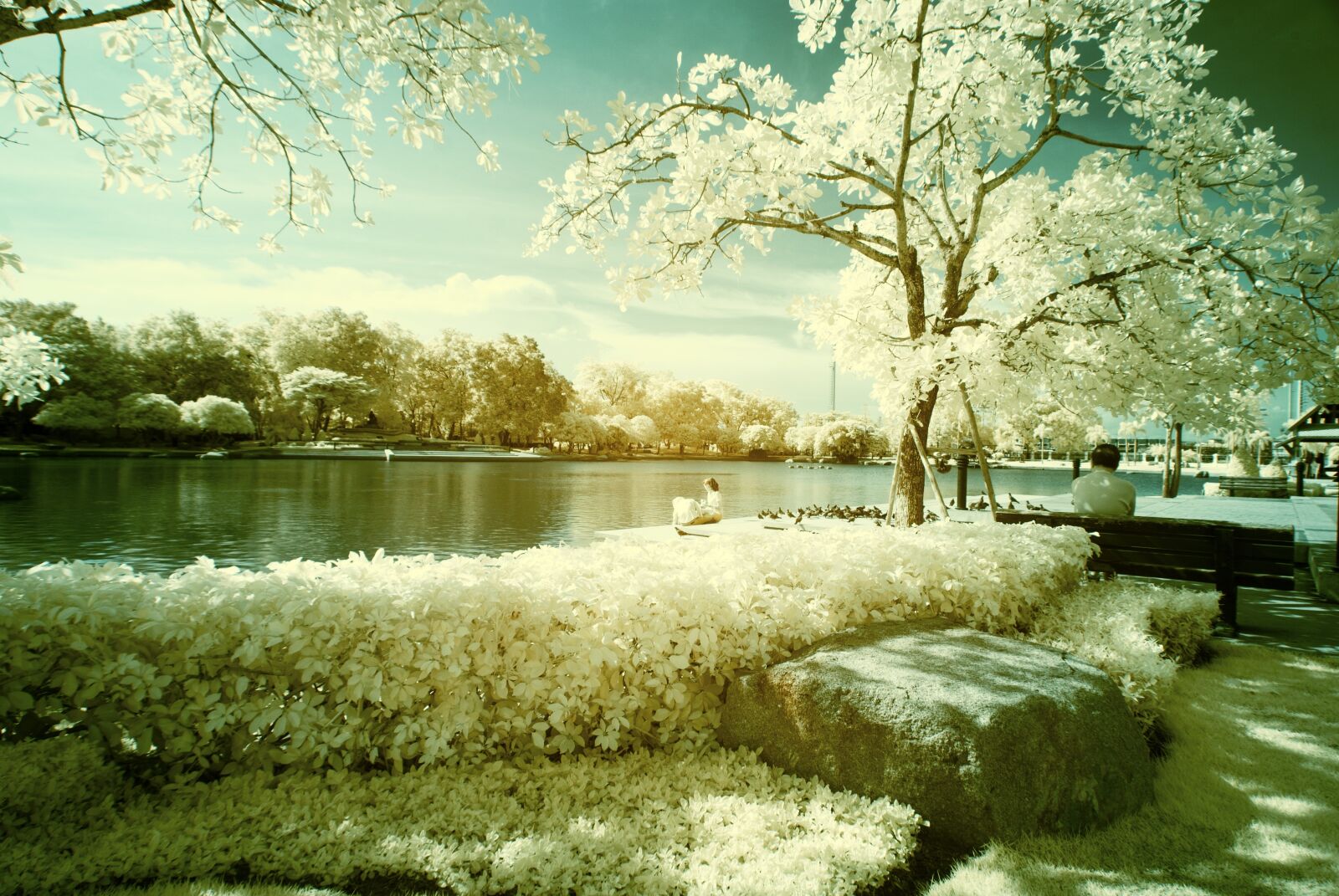 Nikon D40X sample photo. Ir, infrared, landscape photography