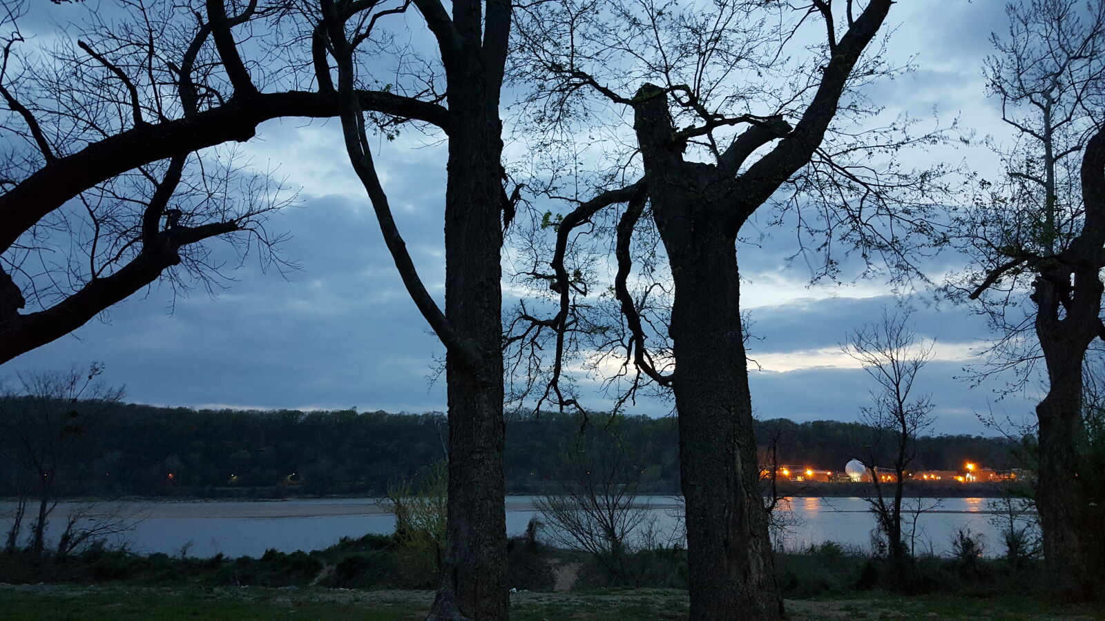Samsung Galaxy Note5 sample photo. Dead, trees, dusk, river photography