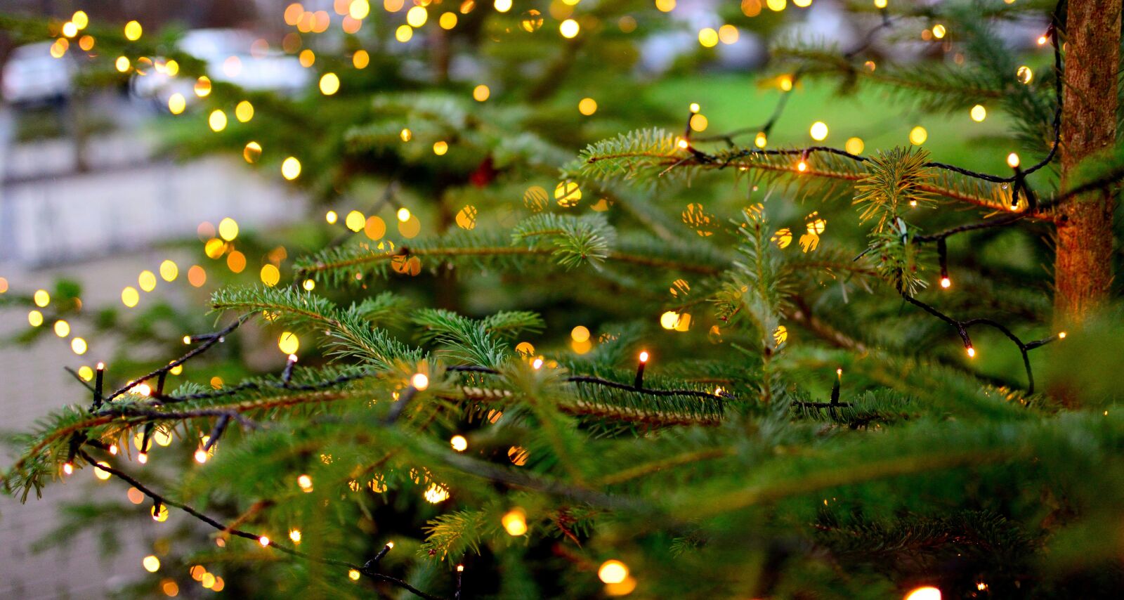 Nikon D610 sample photo. Christmas, lichterkette, lighting photography