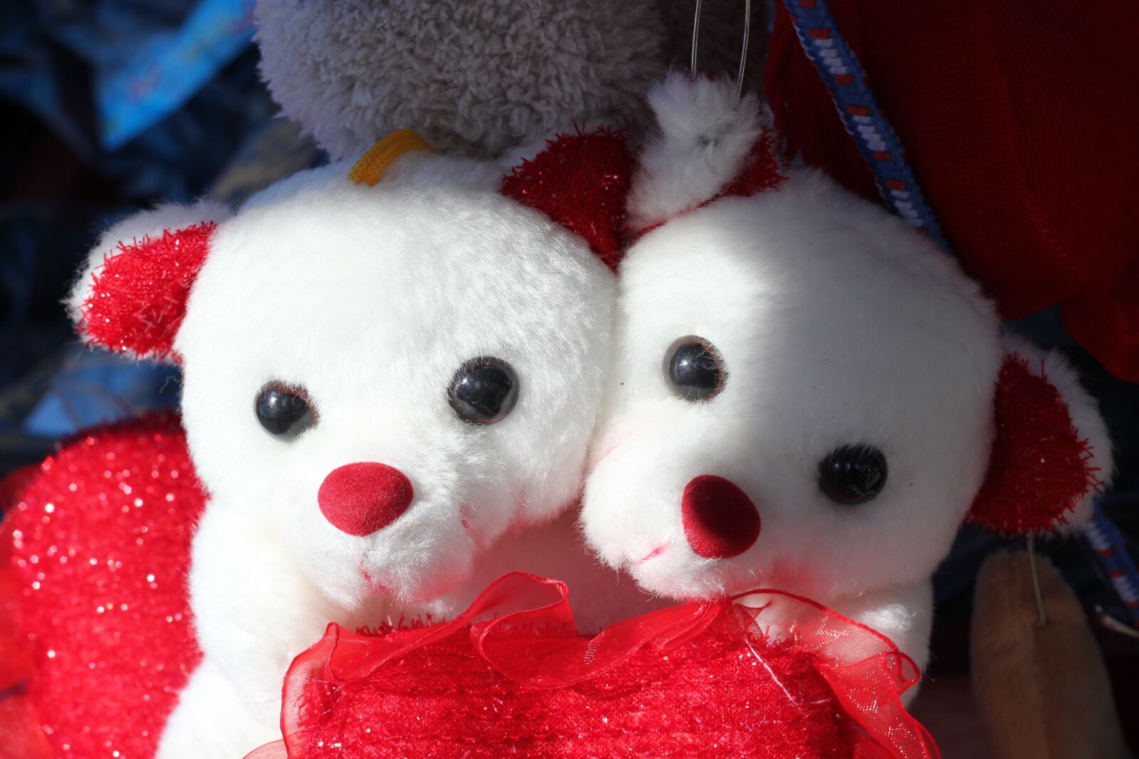 Canon EOS 550D (EOS Rebel T2i / EOS Kiss X4) sample photo. Teddy bears, together, in photography