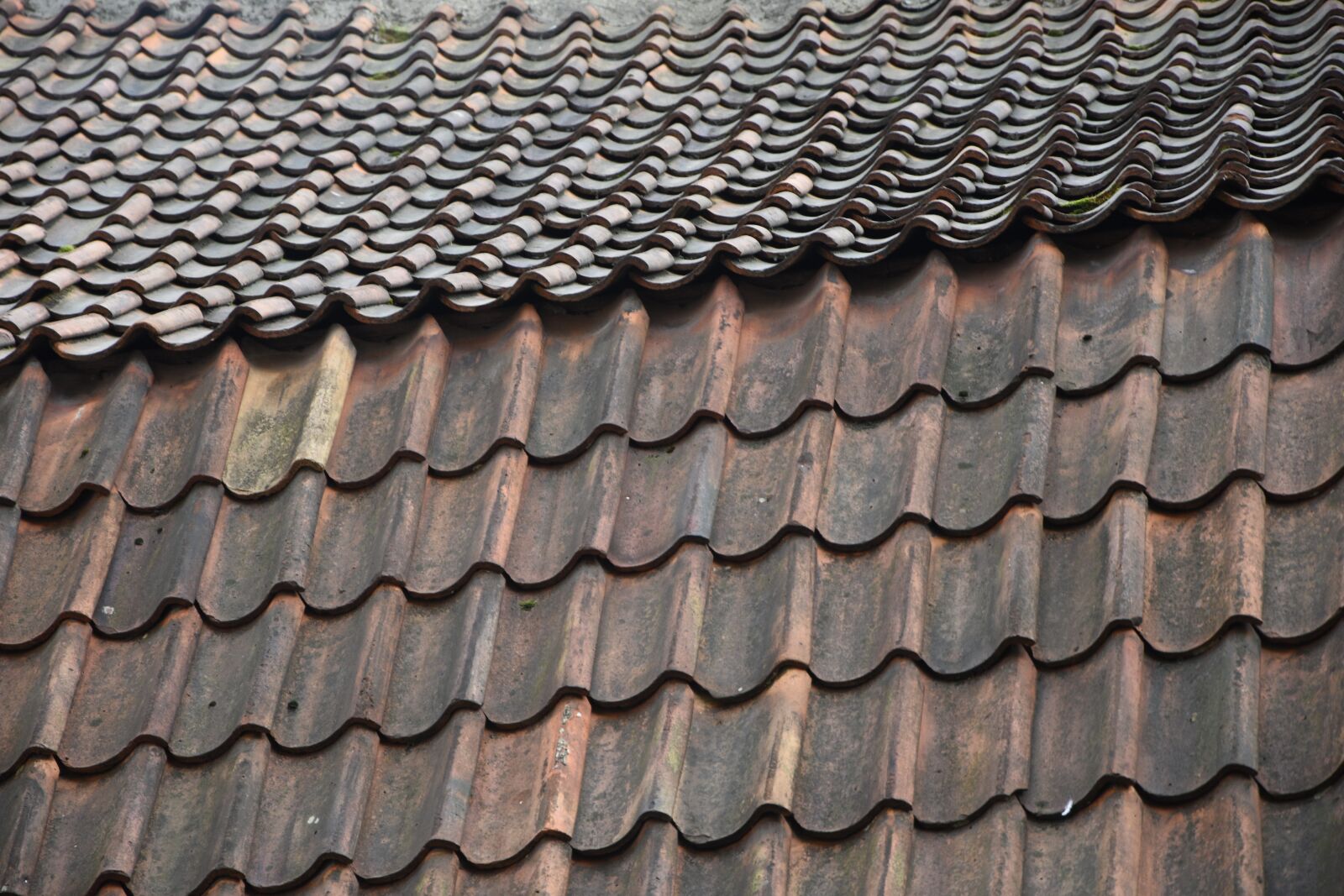 Nikon D5500 sample photo. Roof, tiles, rooftop photography
