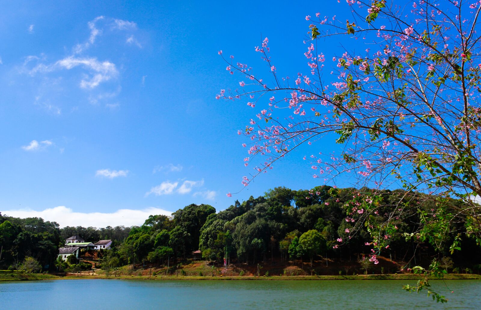 Canon EOS 600D (Rebel EOS T3i / EOS Kiss X5) sample photo. Lake, landscape, beautiful photography