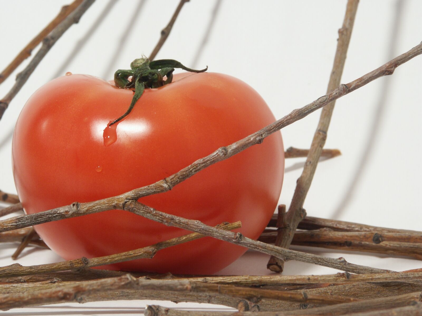 KONICA MINOLTA DiMAGE 7Hi sample photo. Tomato, red, tomatoes close-up photography