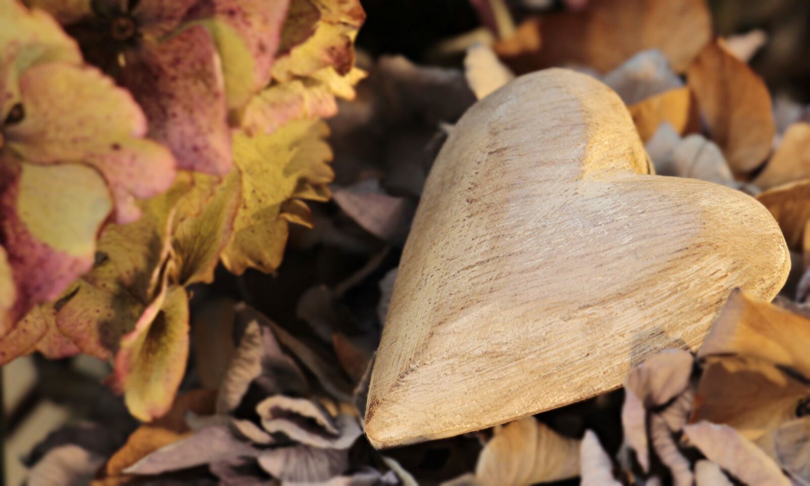 Canon EOS 100D (EOS Rebel SL1 / EOS Kiss X7) sample photo. Heart, wooden heart, hydrangea photography
