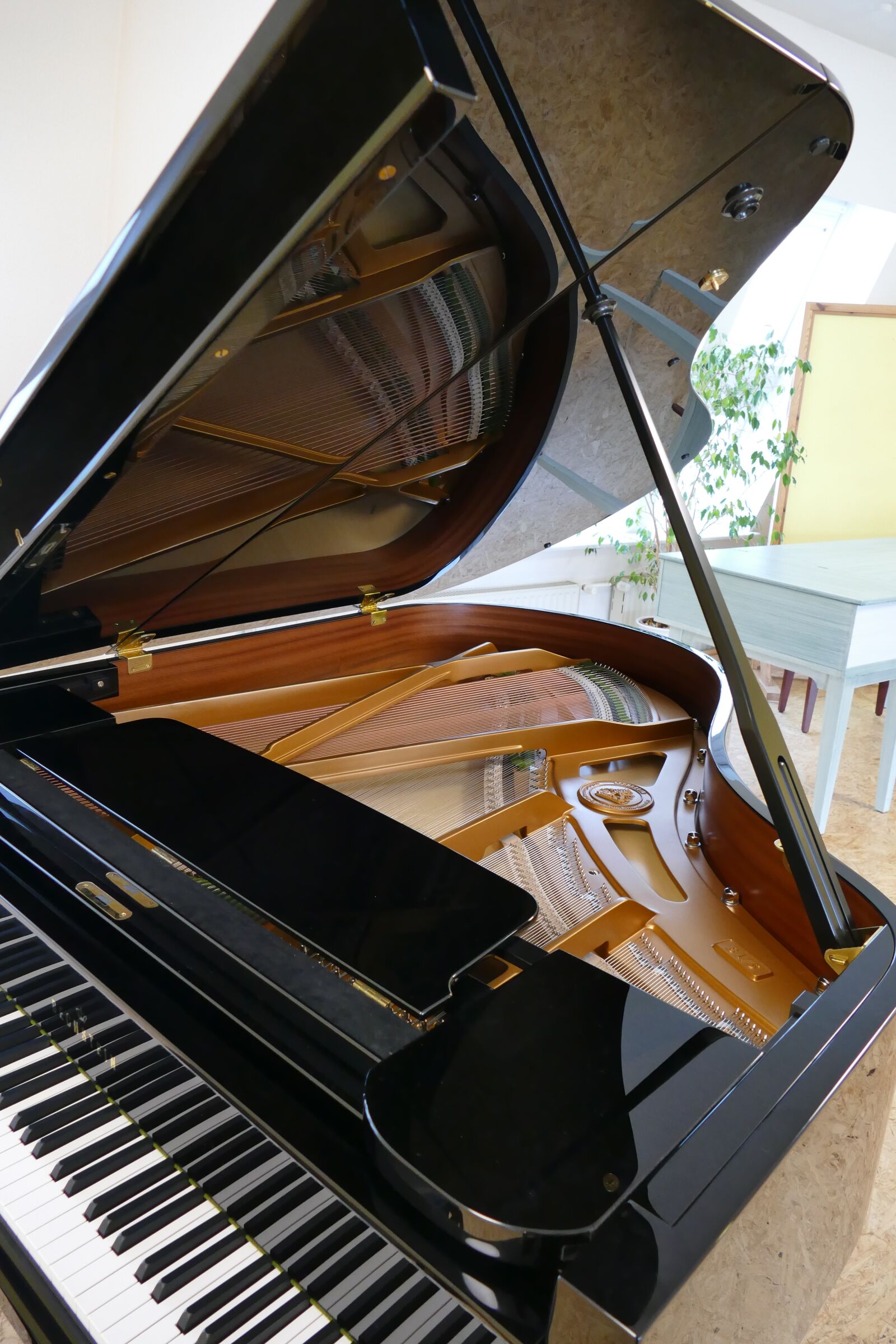 Panasonic Lumix DMC-FZ1000 sample photo. Wing, piano, bechstein photography