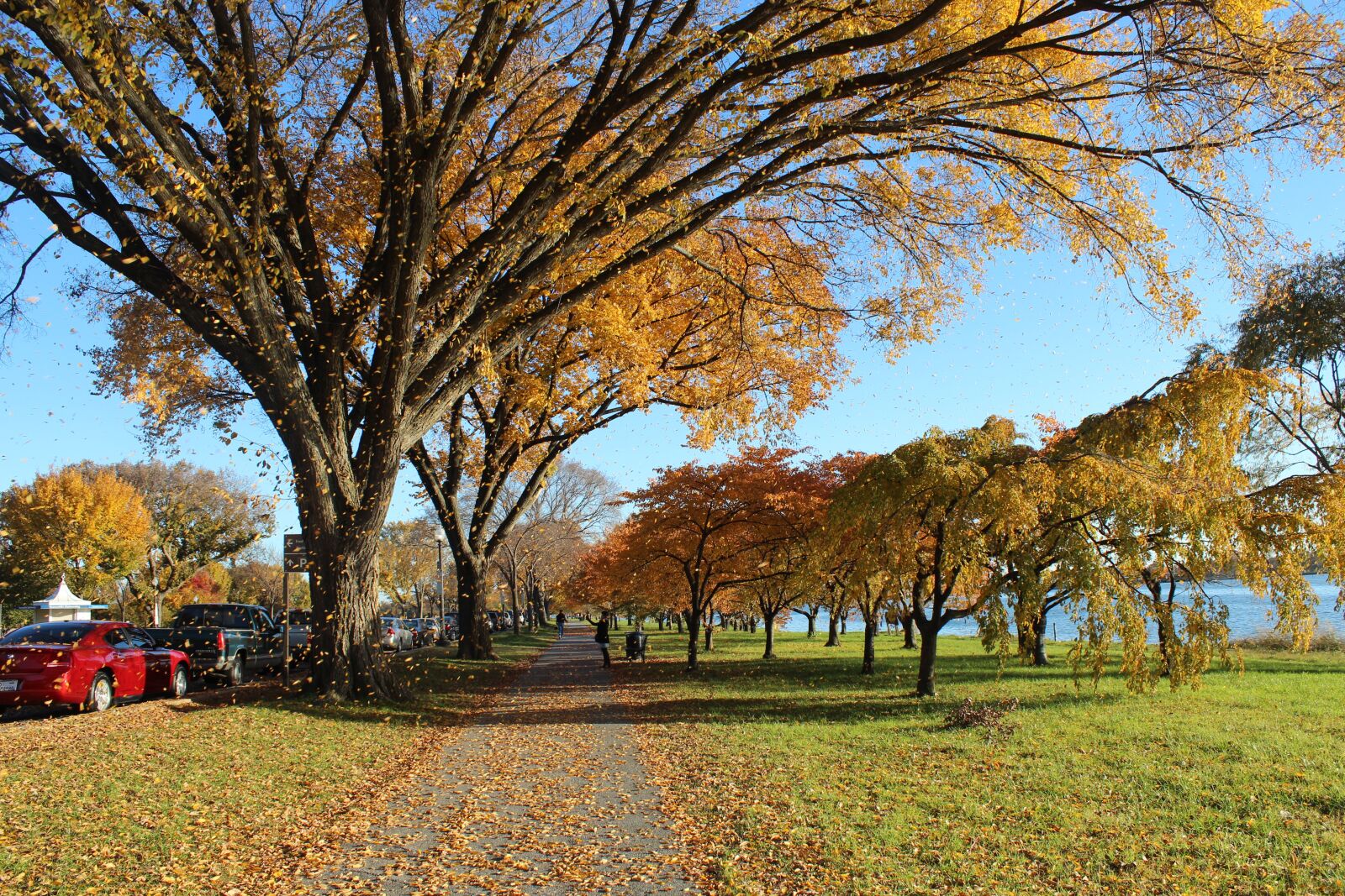 Canon EOS 600D (Rebel EOS T3i / EOS Kiss X5) sample photo. Washington dc, washington, d photography