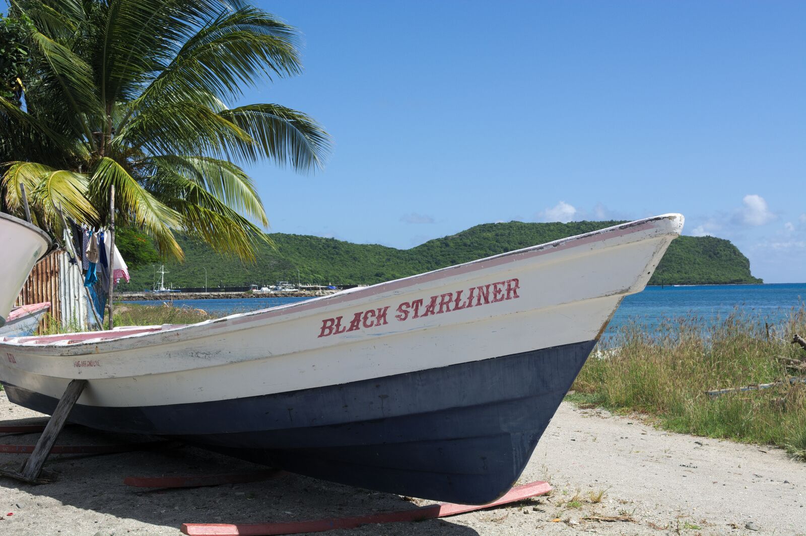 Nikon D7100 sample photo. Boat, palm tree, beach photography