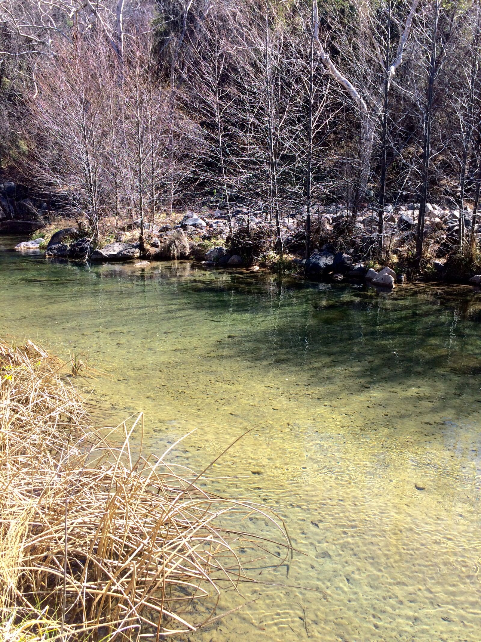 iPhone 5s back camera 4.15mm f/2.2 sample photo. Az, fossil, creek, united photography