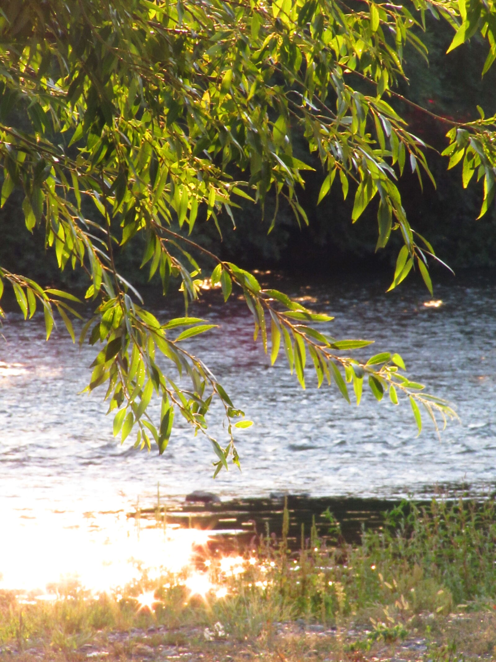 Canon PowerShot SX510 HS sample photo