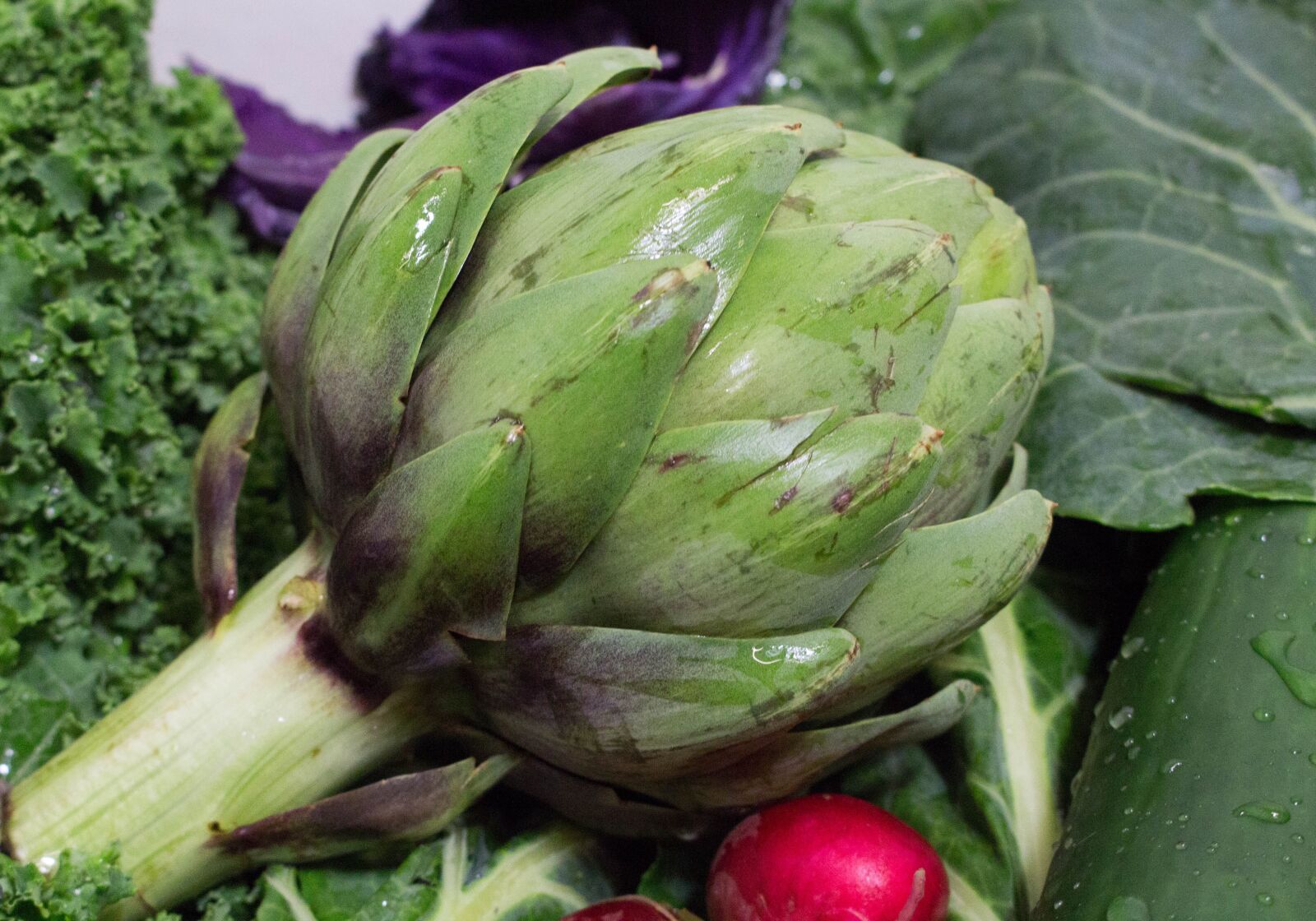 Canon EOS 700D (EOS Rebel T5i / EOS Kiss X7i) sample photo. Food, vegetable, grow photography