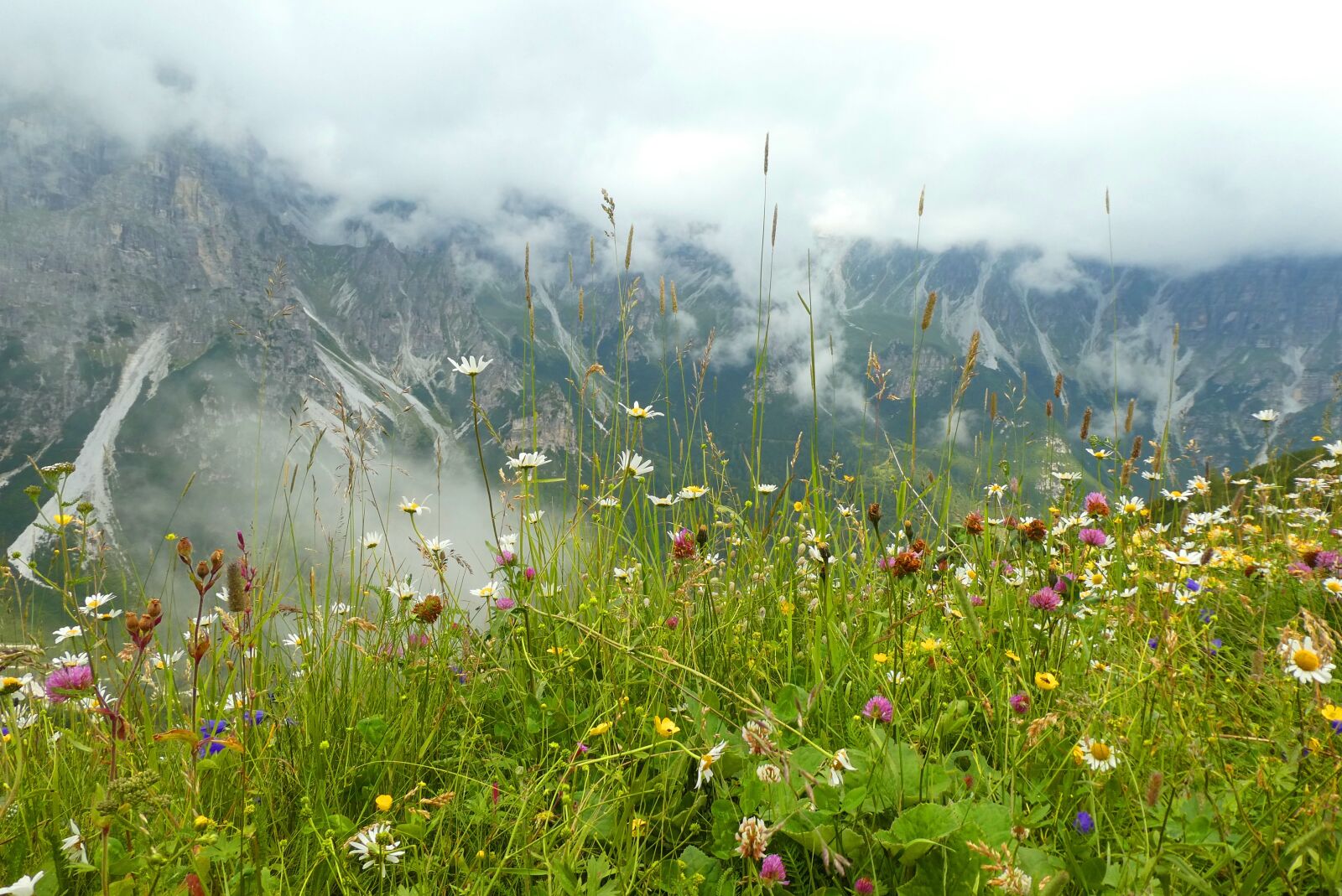 Panasonic Lumix DC-ZS70 (Lumix DC-TZ90) sample photo. Krinnenkopf, schlick 2000, mountain photography