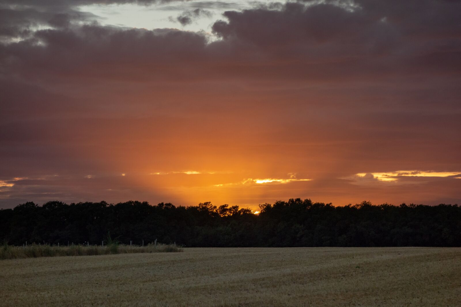 Sony Cyber-shot DSC-RX100 sample photo. Normandy, france, fields photography