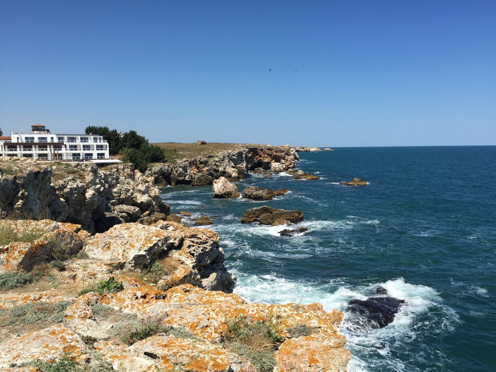Apple iPhone 6 sample photo. Tyulenovo, black sea, nature photography