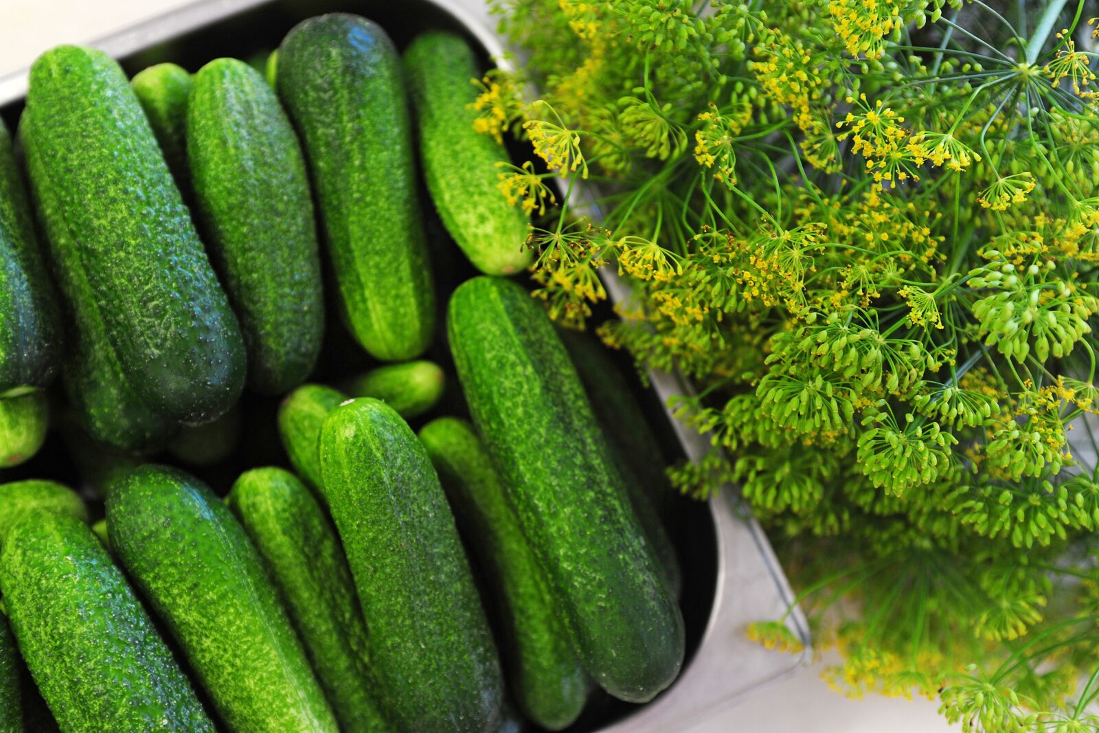 Nikon D3 sample photo. Cucumbers, vegetables, healthy photography