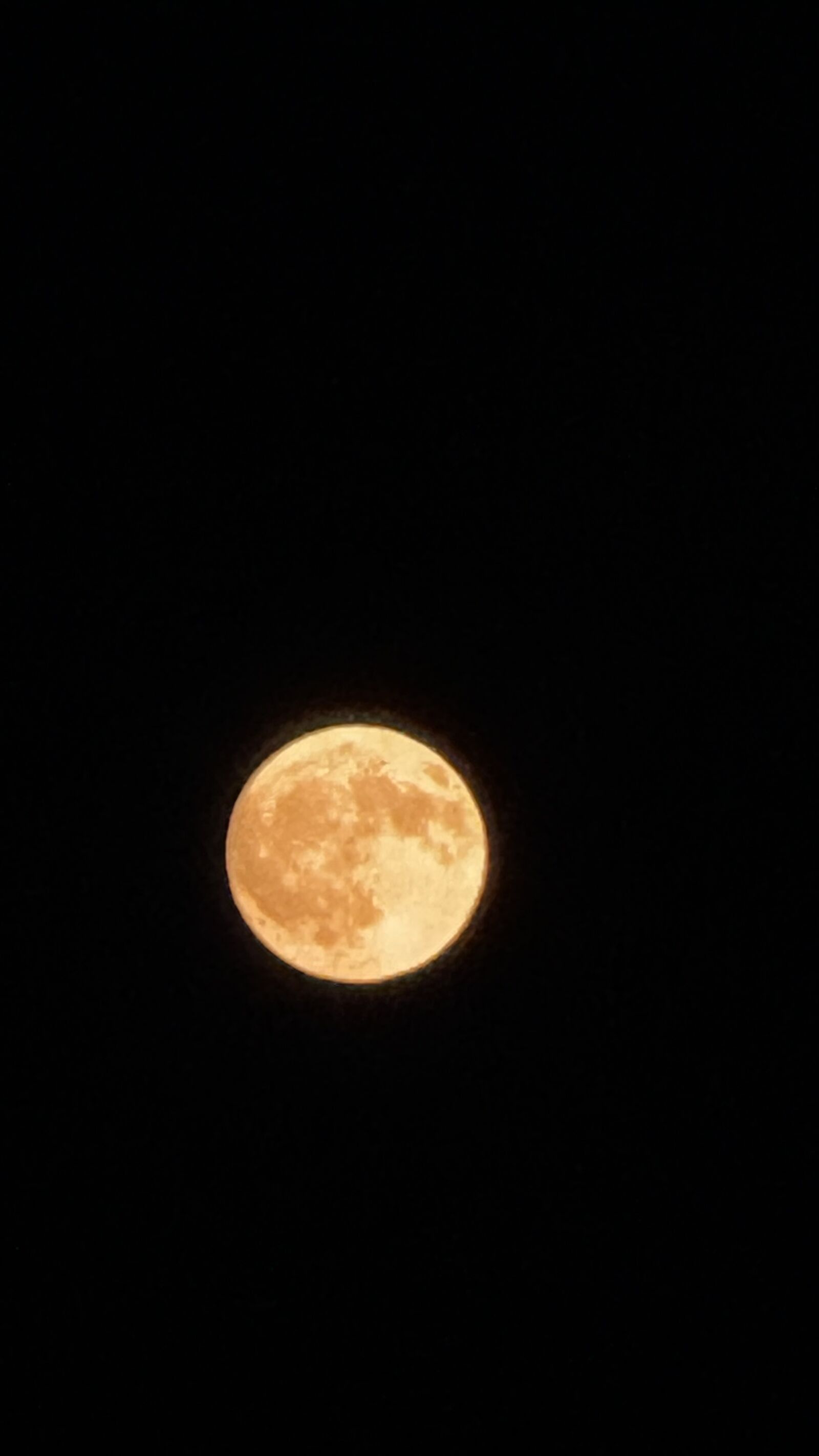 Apple iPhone 16 Pro sample photo