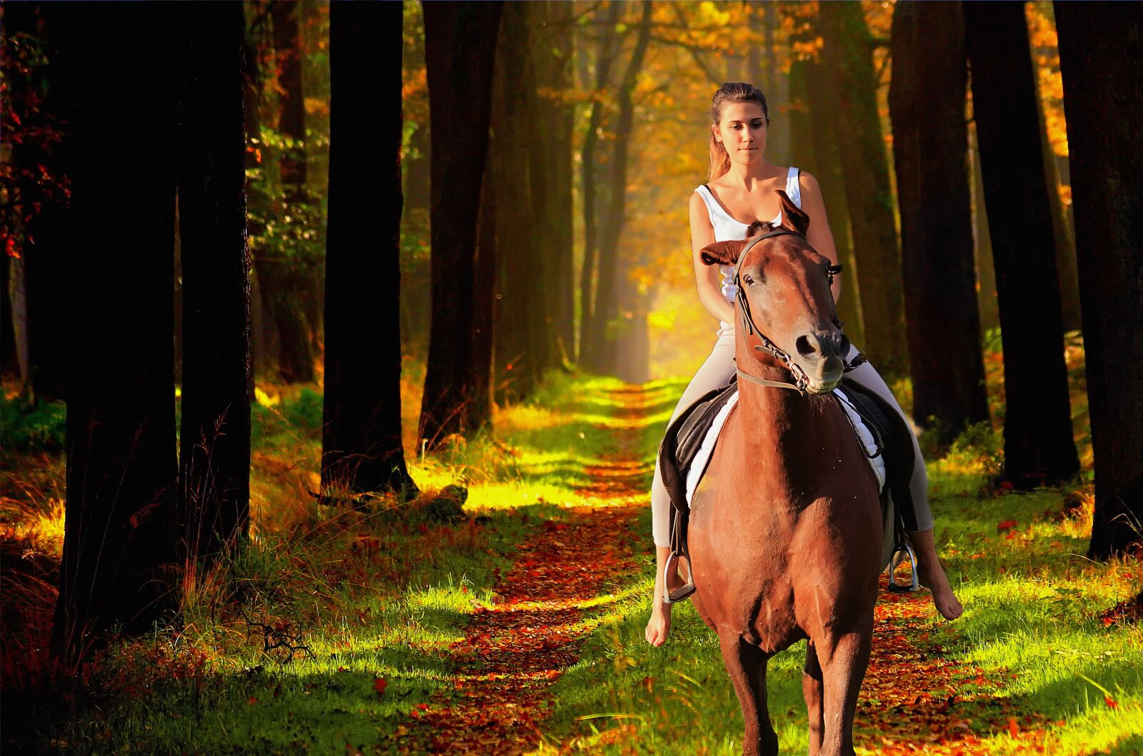 Canon EF 70-200mm F2.8L USM sample photo. Horse, girl, enchantment photography