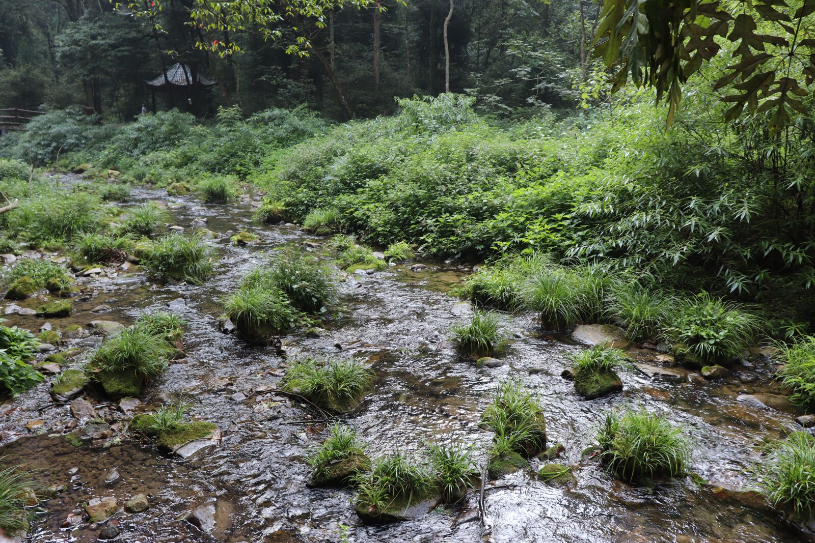 Canon EF-S 18-55mm F4-5.6 IS STM sample photo. Zhangjiajie, streams, green grass photography