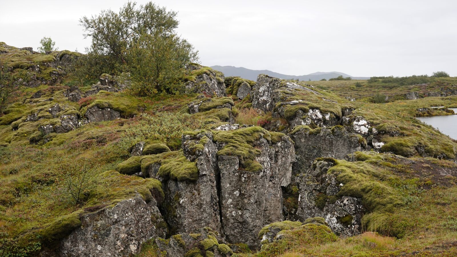 Sony Cyber-shot DSC-RX100 VI sample photo. Nature, iceland, rocks photography