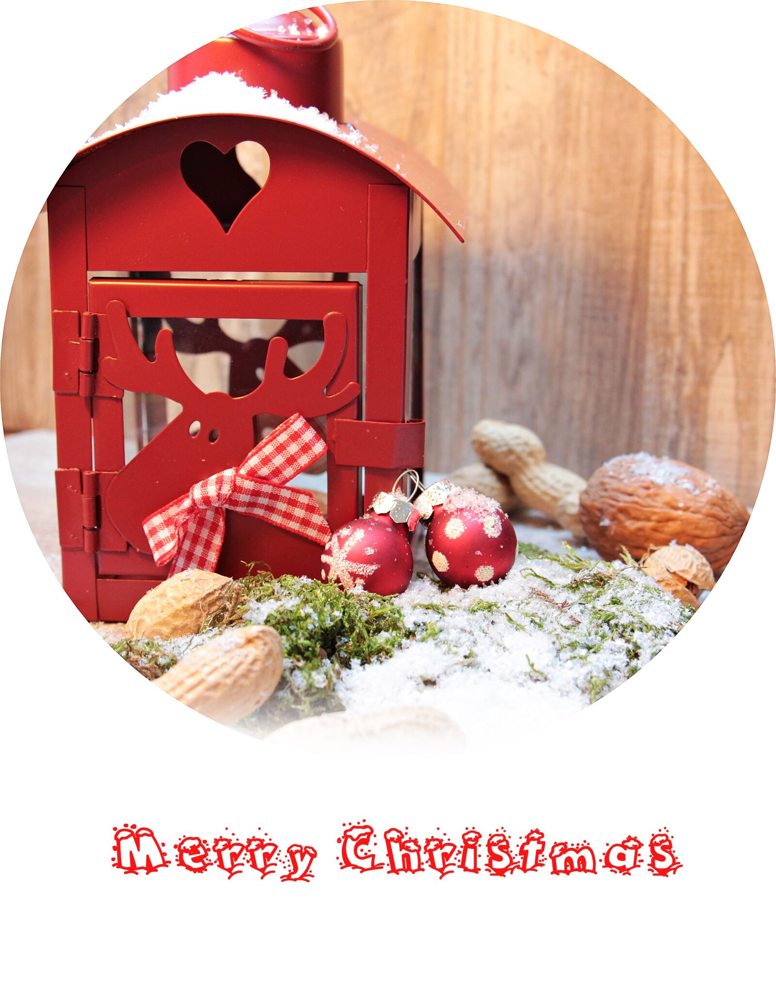 Canon EOS 550D (EOS Rebel T2i / EOS Kiss X4) sample photo. Christmas, lantern, red photography