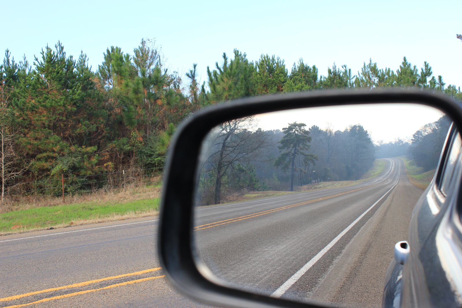 Canon EOS 550D (EOS Rebel T2i / EOS Kiss X4) sample photo. Views, trees, road photography