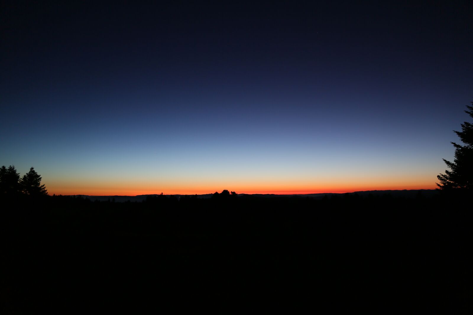 Canon EF 24-105mm F4L IS USM sample photo. Morning, dawn, gundogmus photography
