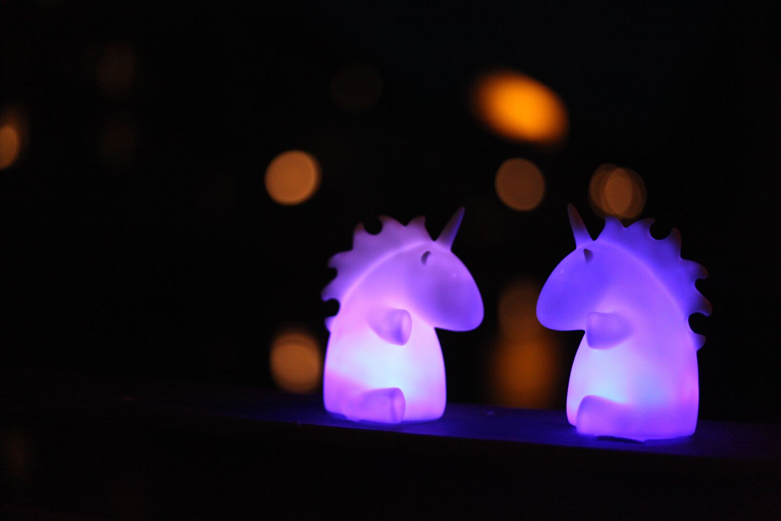 Canon EOS 5D Mark II sample photo. Unicorns, shining, mythical creatures photography
