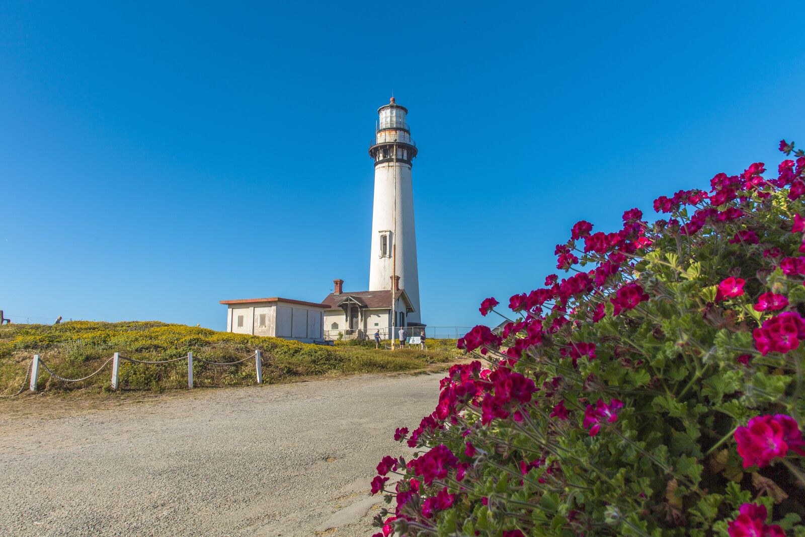Canon EOS 5D Mark III sample photo. Pacific, lighthouse, pigeon point photography