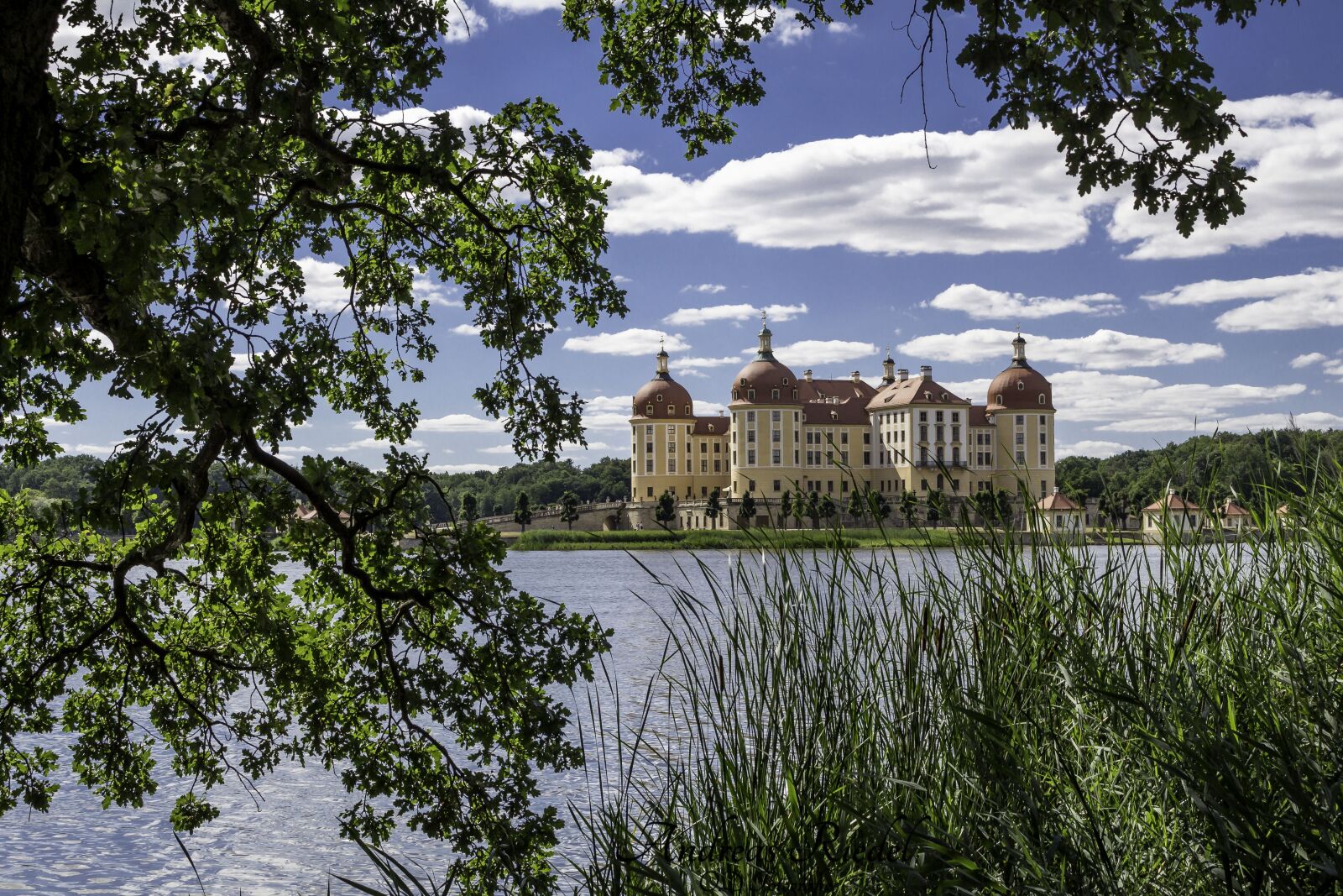 Canon EOS 700D (EOS Rebel T5i / EOS Kiss X7i) sample photo. Moritz castle, castle, saxony photography