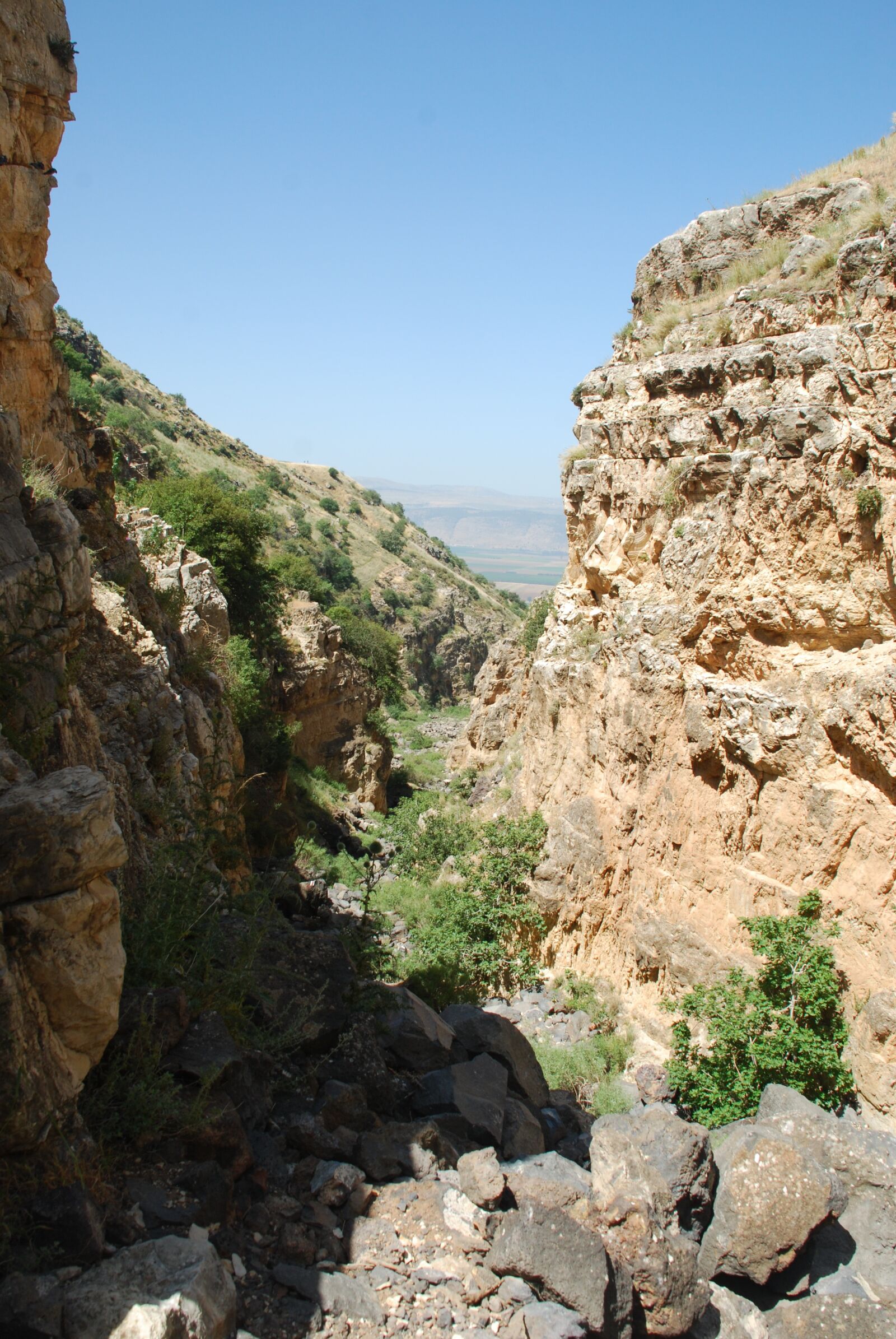 Nikon D80 sample photo. Nature, israel, mountain photography