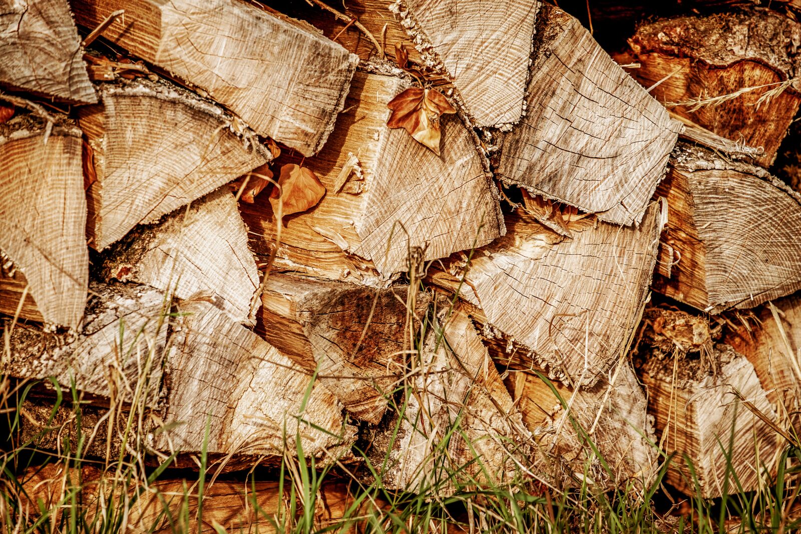 Fujifilm XF 55-200mm F3.5-4.8 R LM OIS sample photo. Wood, logs, log photography