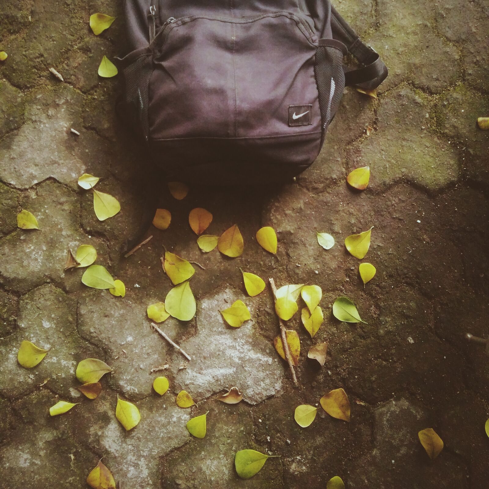 OnePlus ONE E1003 sample photo. Autumn, leaf, bag, leaves photography
