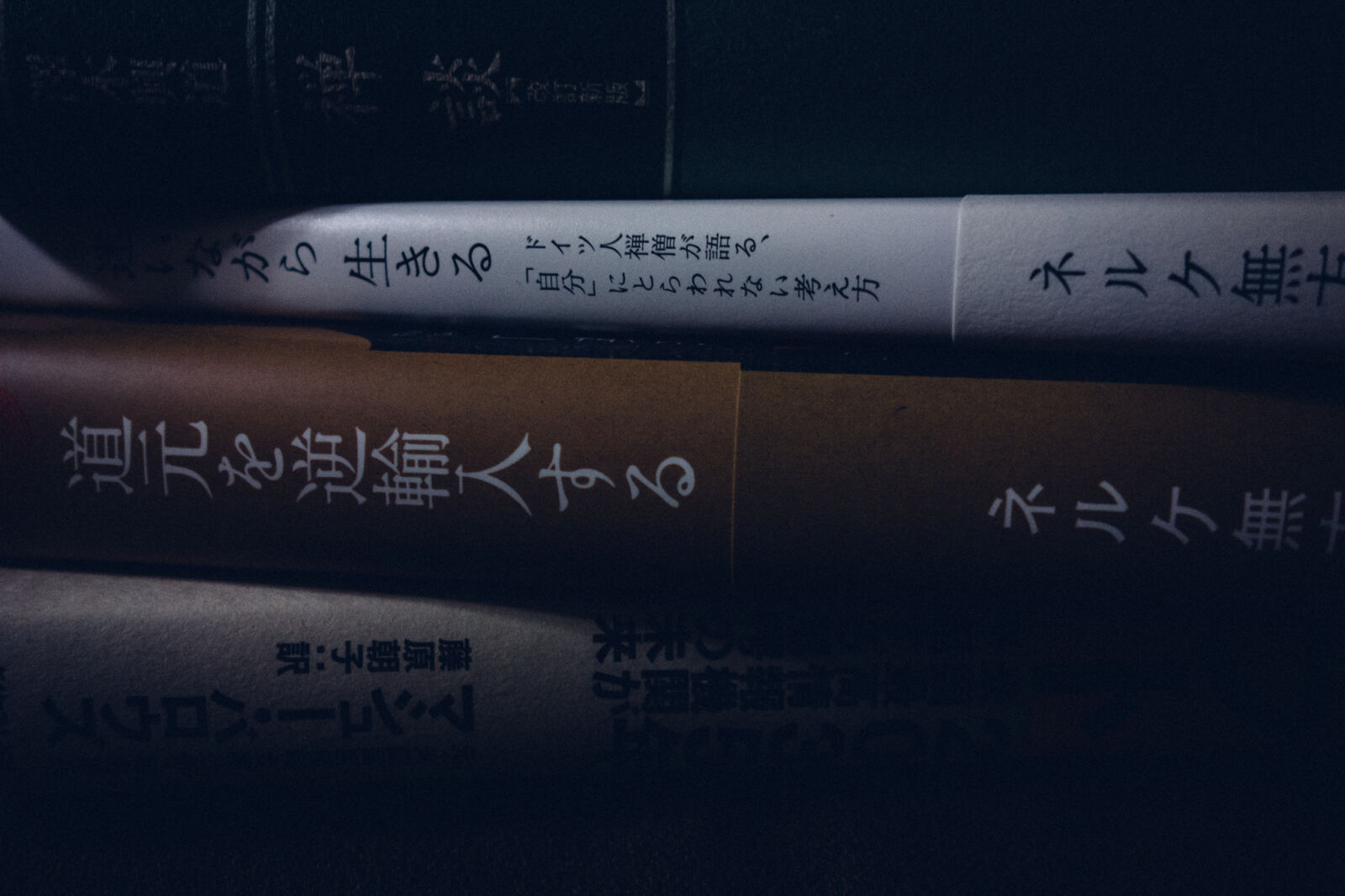 Sony Cyber-shot DSC-RX100 sample photo