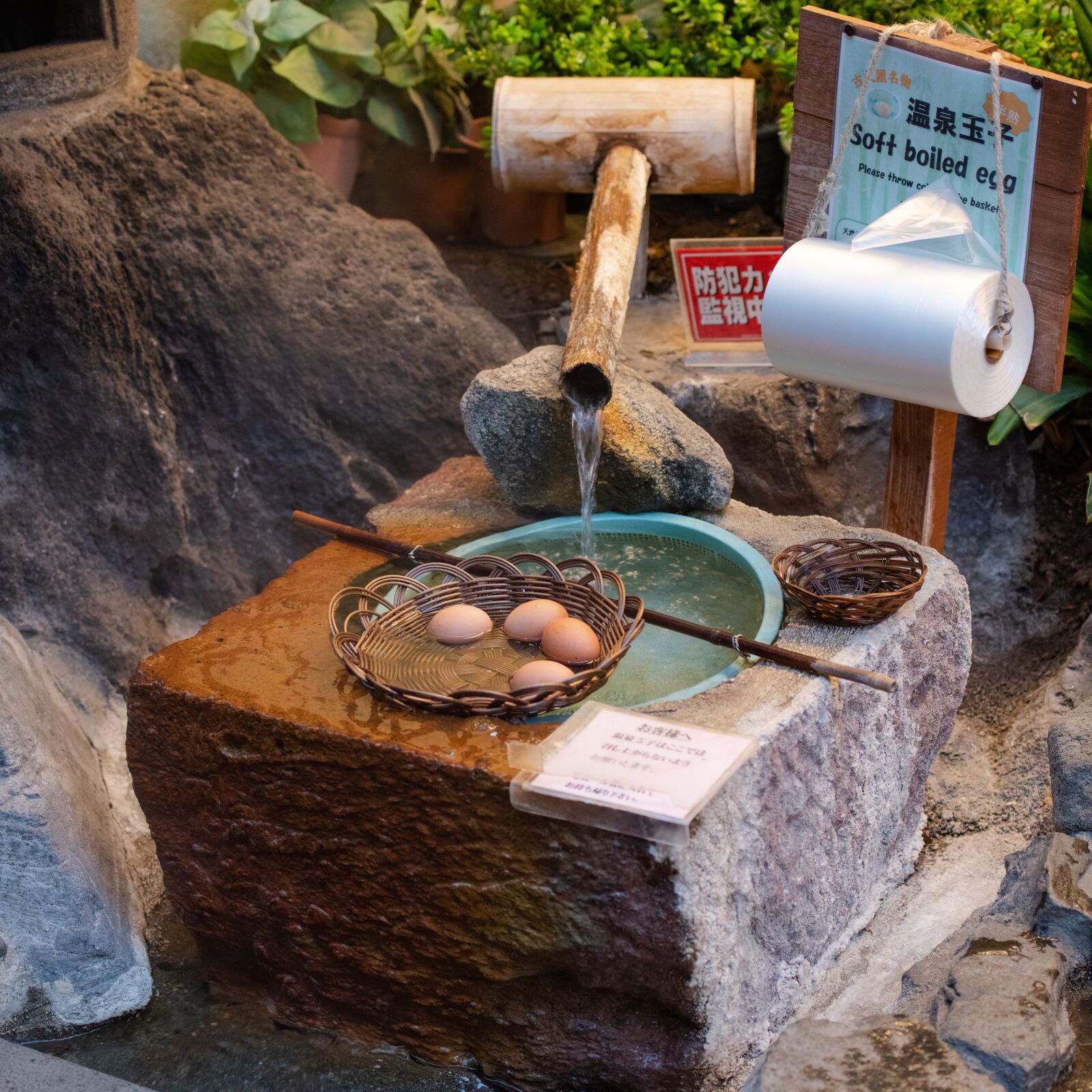 Nikon D850 sample photo. Eggs, onsen tamago, cooking photography